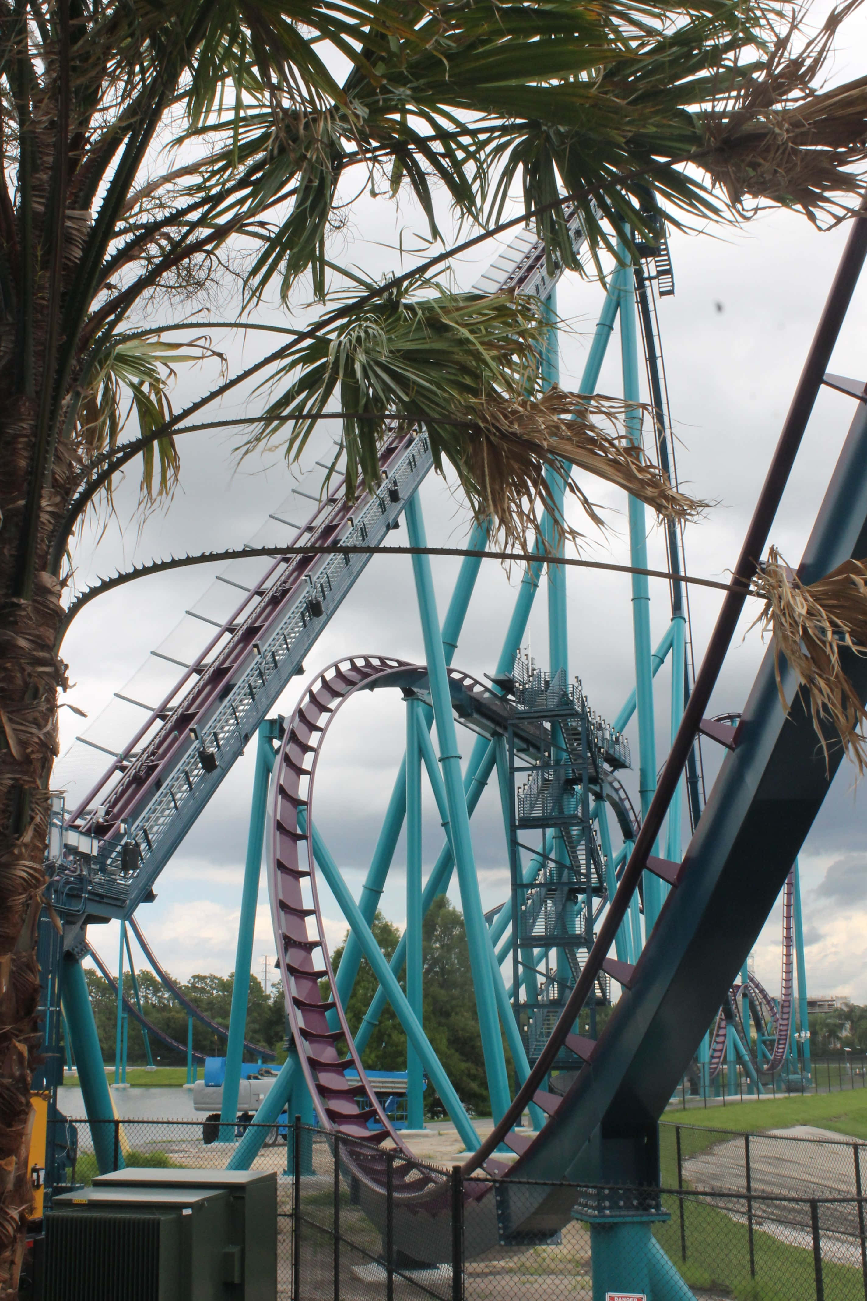 Seaworld 桌布 壁紙 — 一座高聳的藍綠色雲霄飛車，帶有紫色軌道，蜿蜒穿過多雲的天空，周圍環繞著搖曳的棕櫚葉。