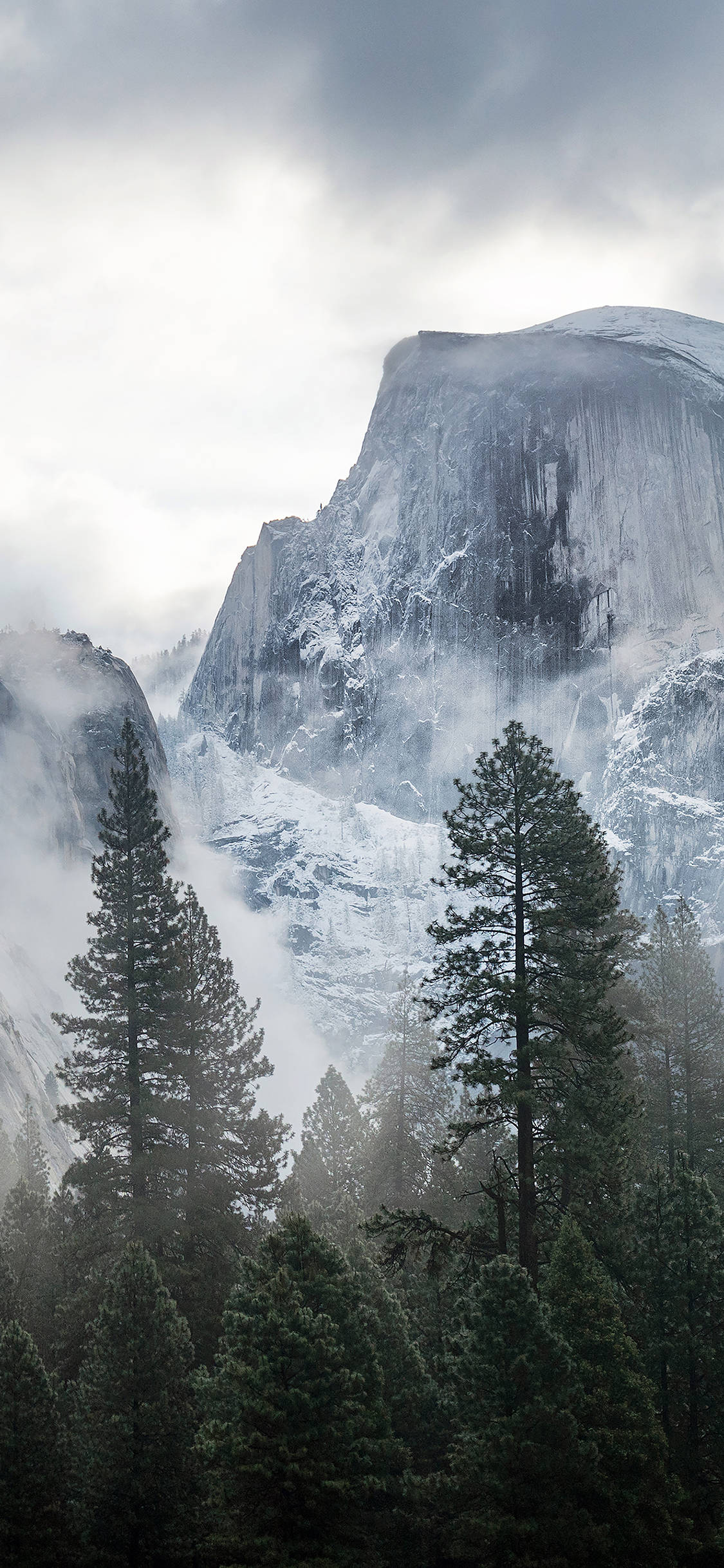 Yosemite iPhone 桌布 壁紙 — 一座高聳的雪頂花崗岩圓頂在薄霧中升起，陰雲密佈的天空下，前景是深色的常綠樹。