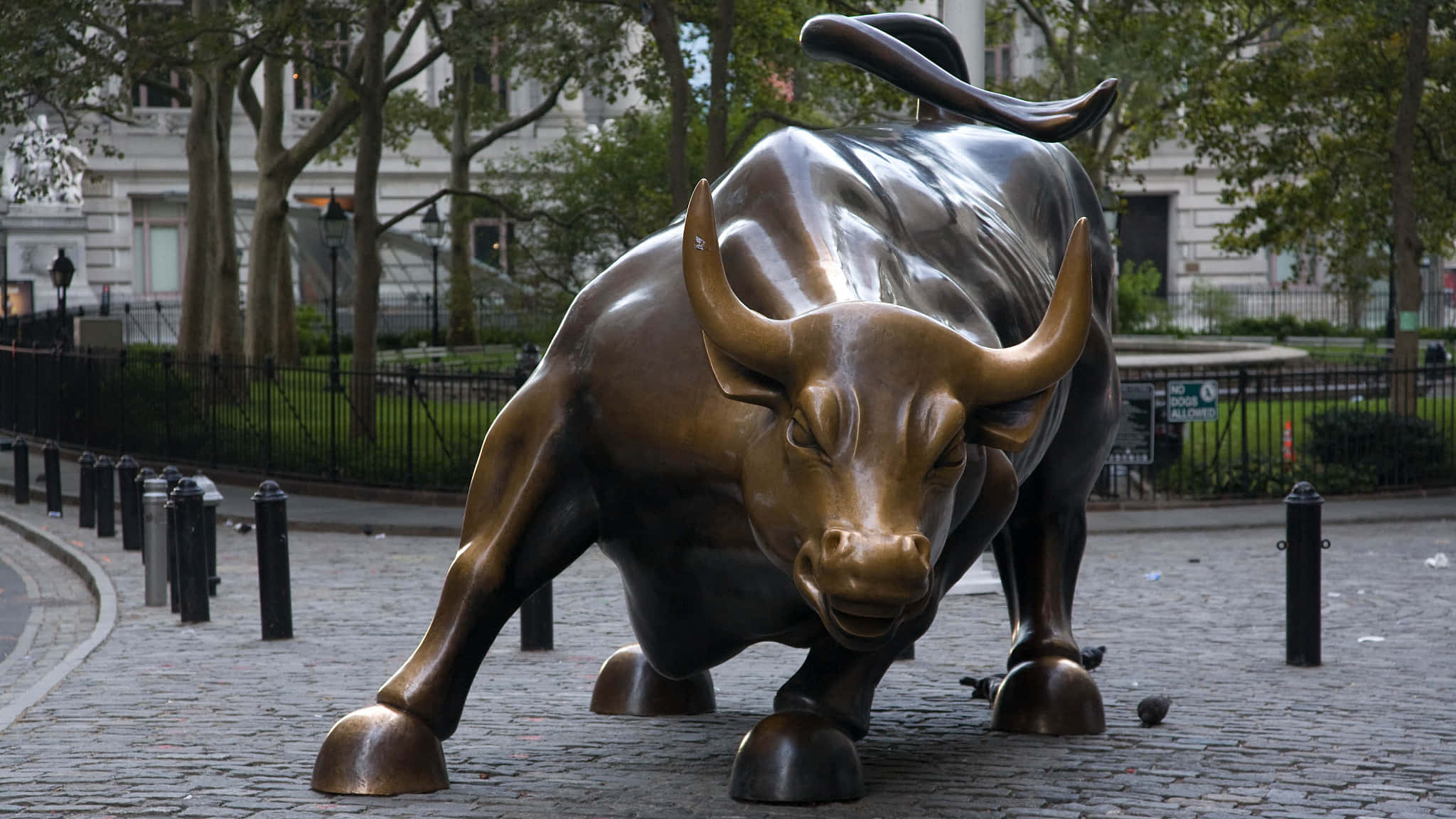 Wall Street 桌布 壁紙 — 一座高聳的青銅公牛雕像矗立在鵝卵石廣場上，周圍環繞著樹木和城市建築。
