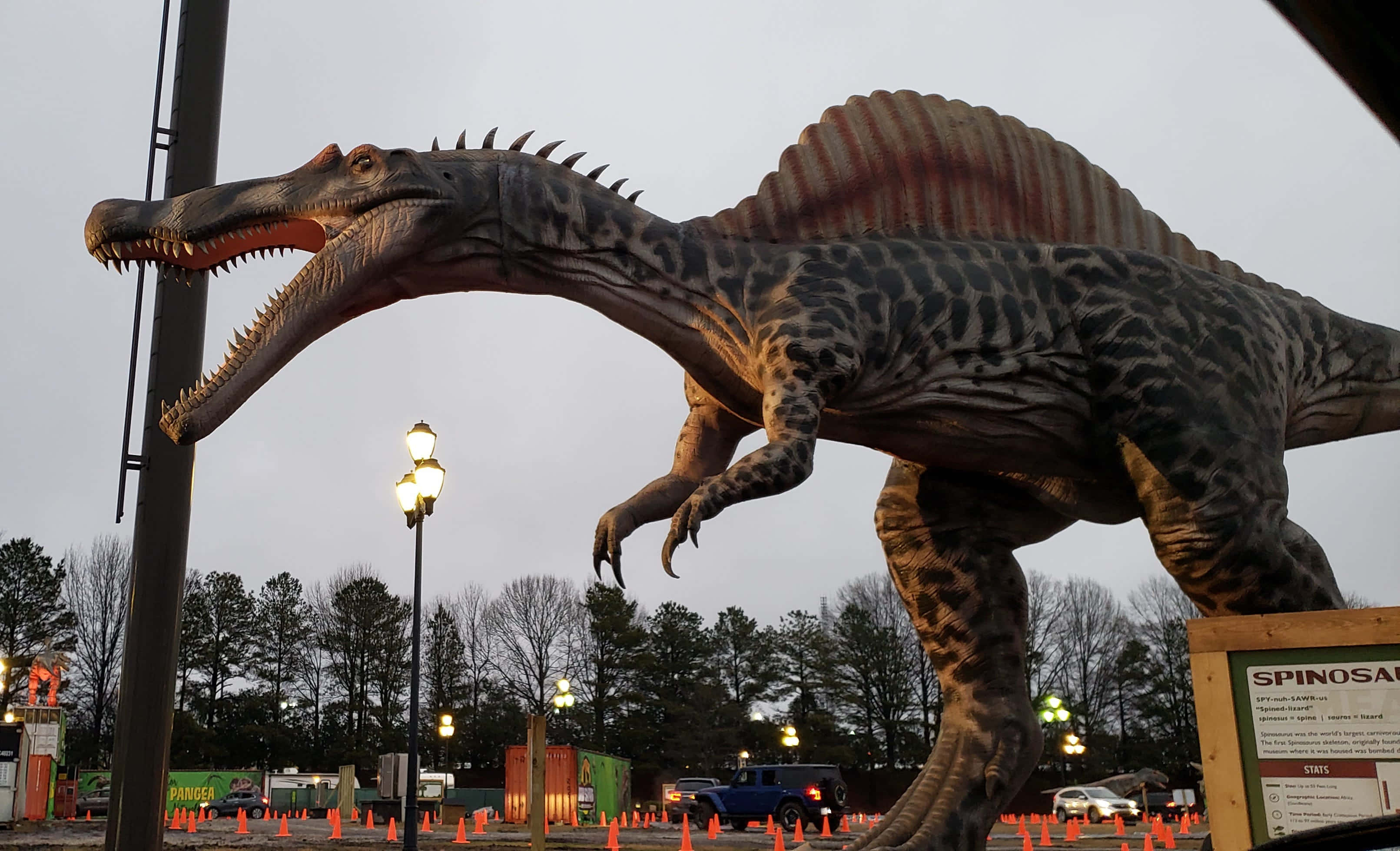 Dino 桌布 壁紙 — 一座高聳逼真的棘龍雕像在戶外展覽中威嚴地矗立，周圍有光禿的樹木和發光的燈光，天空多雲。