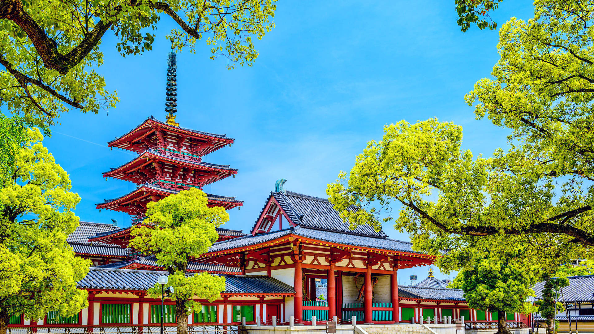 陽光明媚的日子裡，紅色的寶塔和寺廟被綠樹環繞。 — 大阪 壁紙