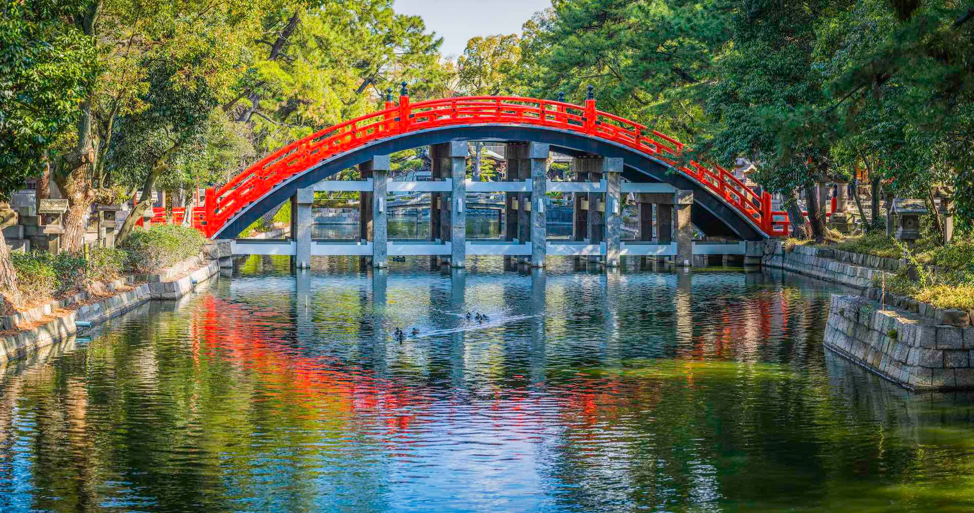 平靜運河上的紅色拱橋，樹木倒影和鴨子游泳 — 大阪 壁紙