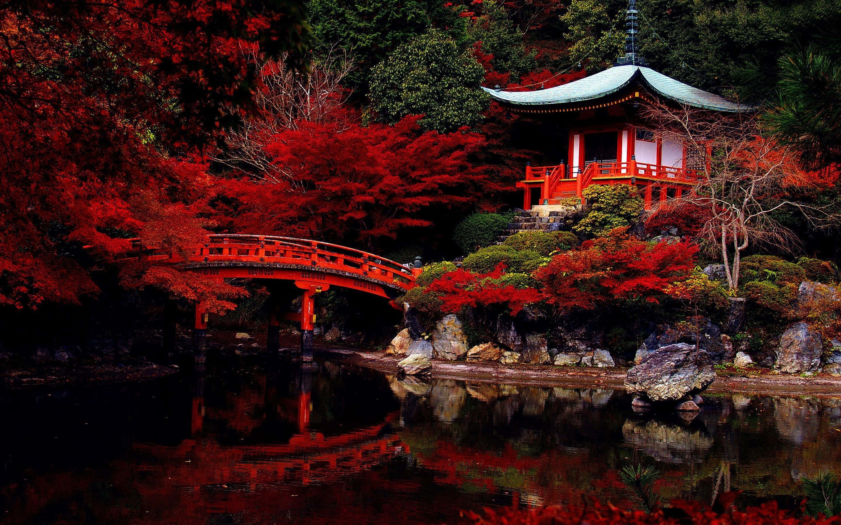 日本 桌布 壁紙 — 一座鮮紅色的日本塔和拱橋倒映在平靜的水面上，周圍是火紅的秋葉。