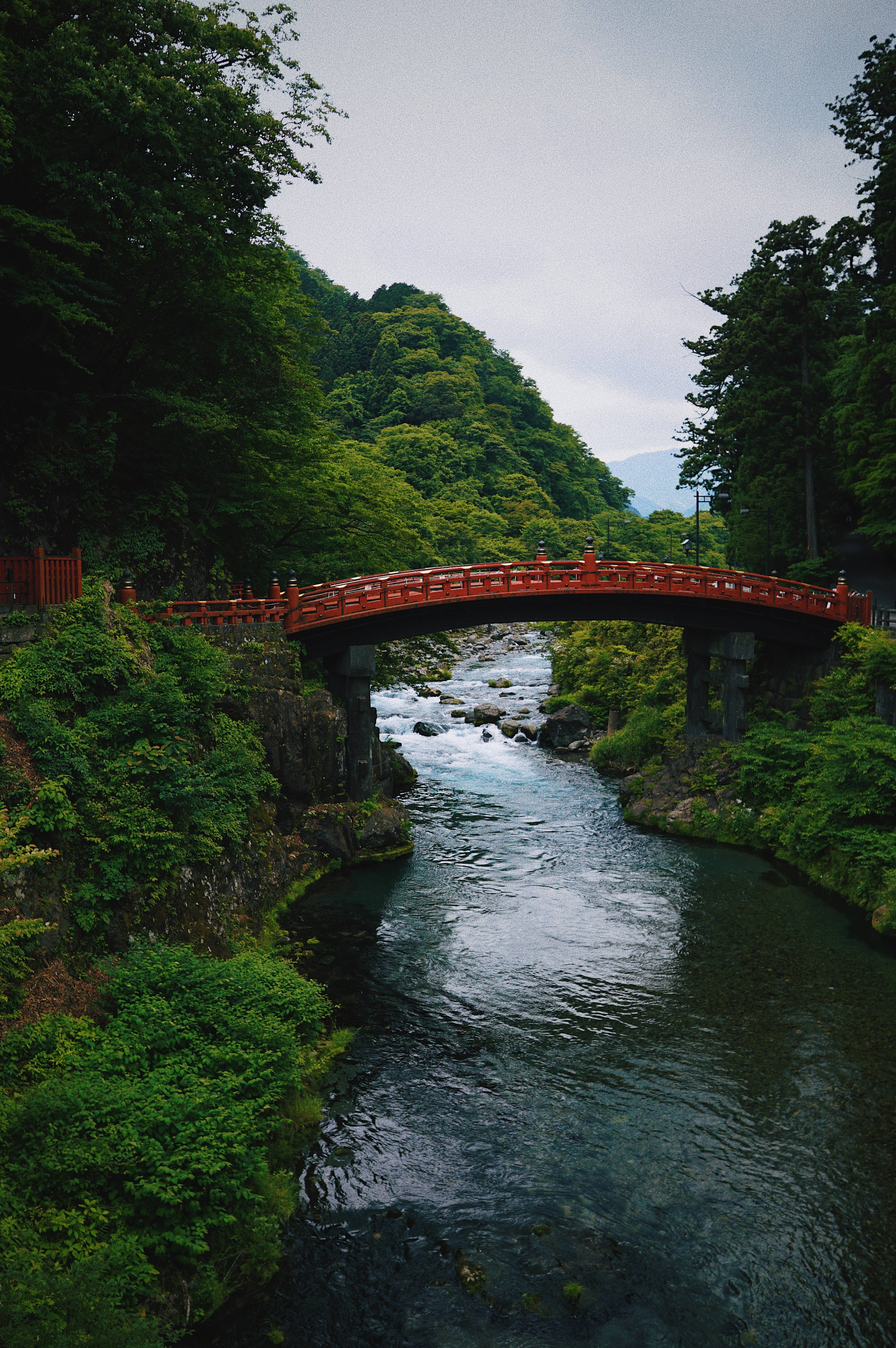 river 桌布 壁紙 — 一座鮮紅色的木橋優雅地拱起，橫跨在湍急的河流上，周圍是茂密的綠色森林，天空多雲。
