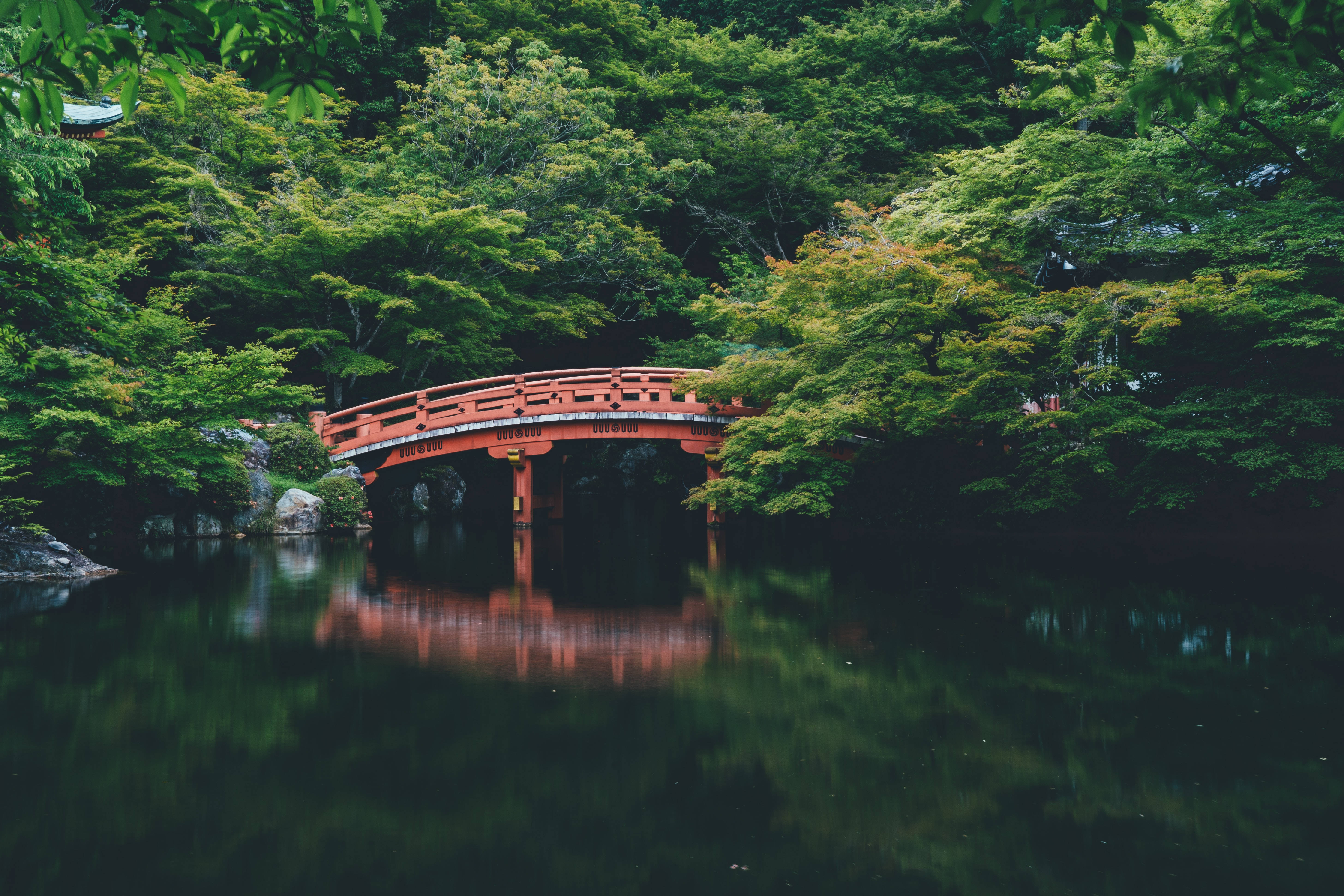 Lake 桌布 壁紙 — 一座鮮紅色的木橋優雅地拱起在平靜的池塘上，周圍環繞著茂密的綠色樹葉。