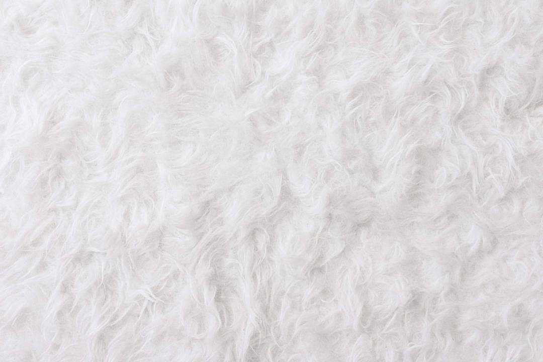 White Texture 桌布 壁紙 — 一張 fluffy 白色紋理地毯的特寫，柔軟輕盈的纖維營造出舒適的觸感表面。