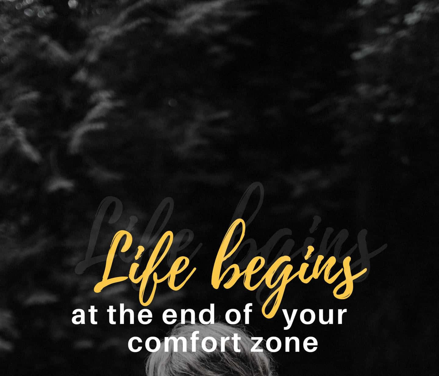 Success 桌布 壁紙 — 一張人物頭部的黑白照片，金色草書文字寫著「Life begins at the end of your comfort zone」，疊在模糊的樹葉上。