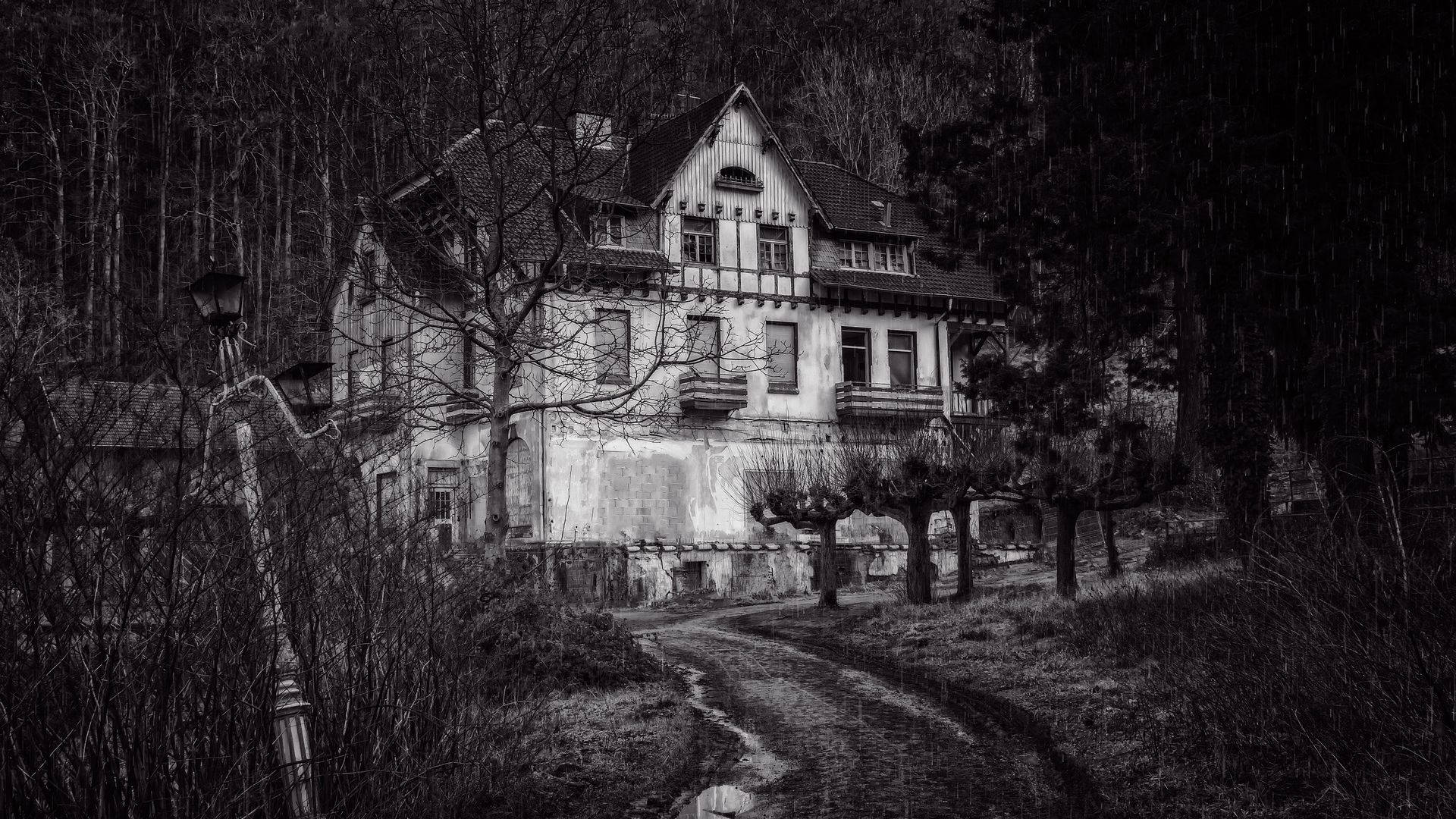 haunted 桌布 壁紙 — 一張令人毛骨悚然的黑白照片，拍攝了一座破舊的房子，周圍是雨林中的光禿樹木。