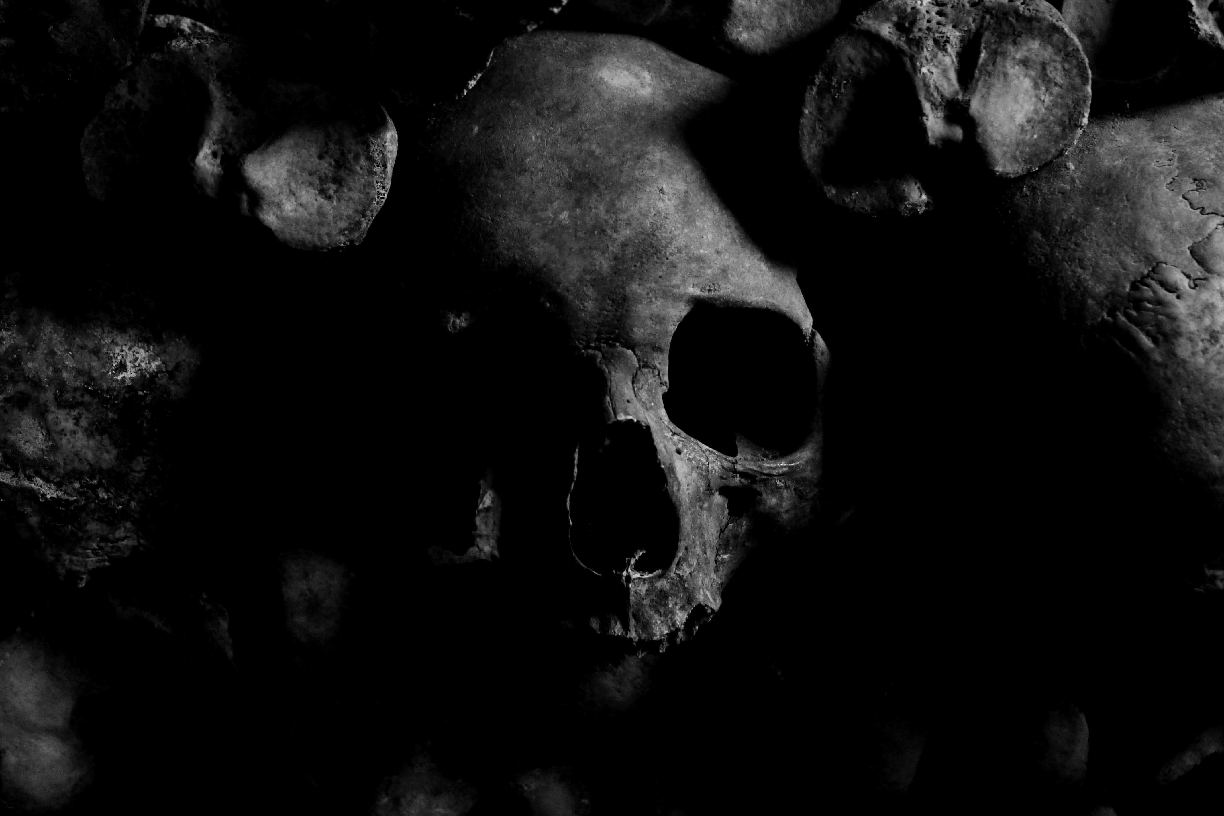 死亡 桌布 壁紙 — 一張令人毛骨悚然的黑白特寫，展示一個風化的人類頭骨，深陷於其他骨頭之間的陰影中。