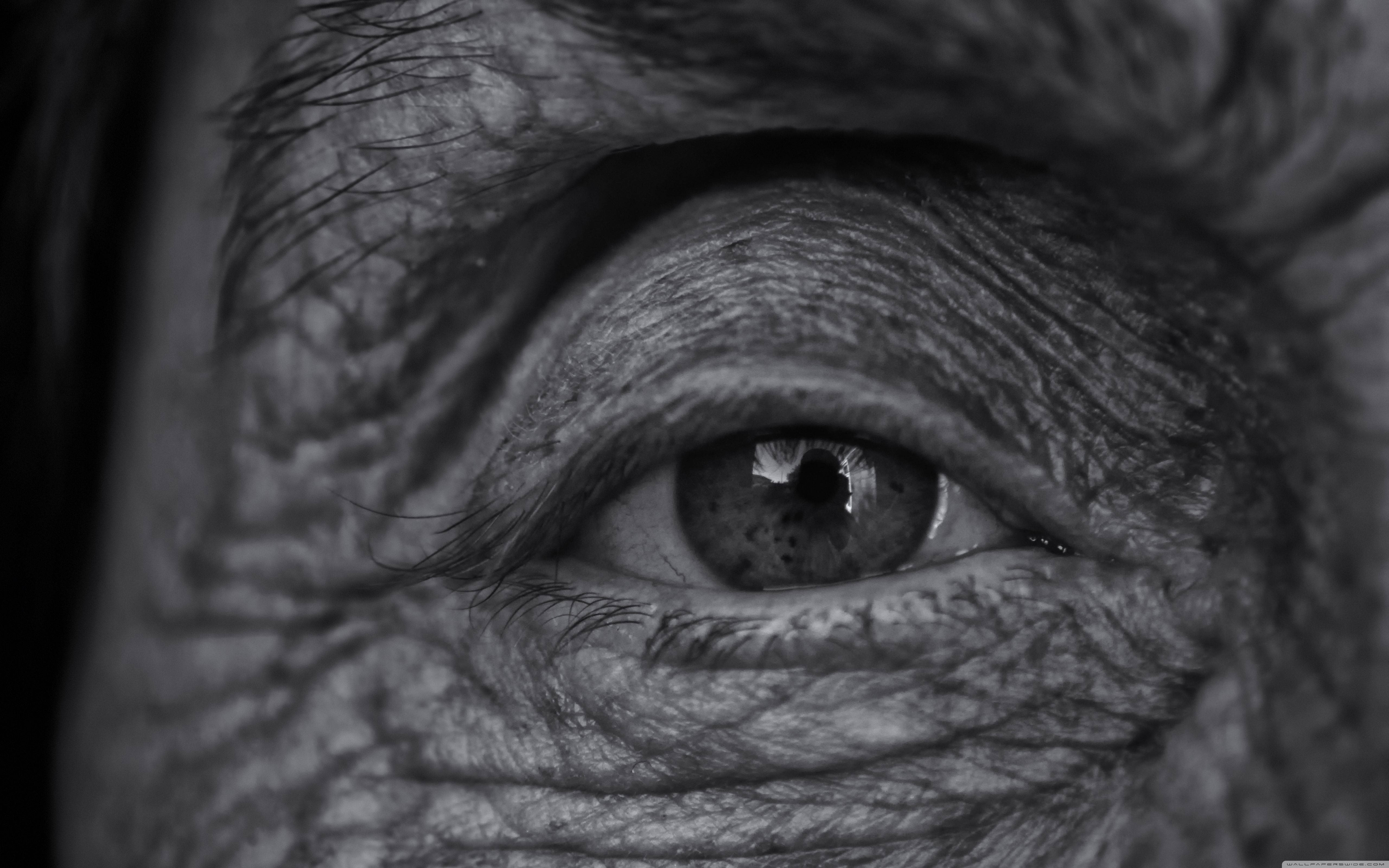 Eyes 桌布 壁紙 — 一張令人難忘的黑白特寫，捕捉了老年人眼睛的深層皺紋和反射瞳孔。