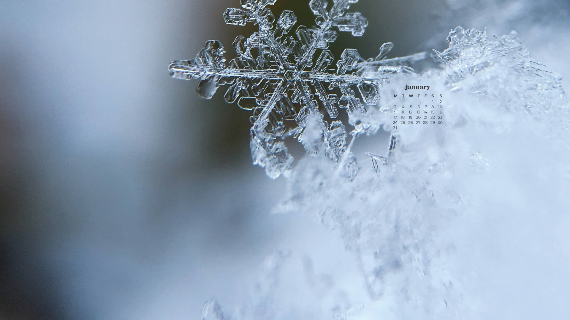 特寫雪花細節，雪地背景上有一月日曆。 — 雪花 GIF 壁紙