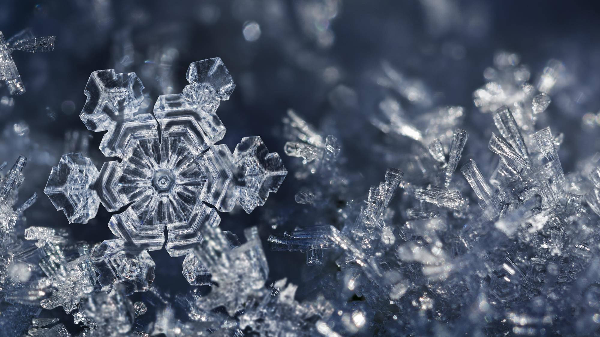 雪景 桌布 壁紙 — 一張令人驚嘆的微距照片，展示了一個完美形成的冰晶雪花，在柔和的藍色散景背景下閃耀著複雜的幾何細節。