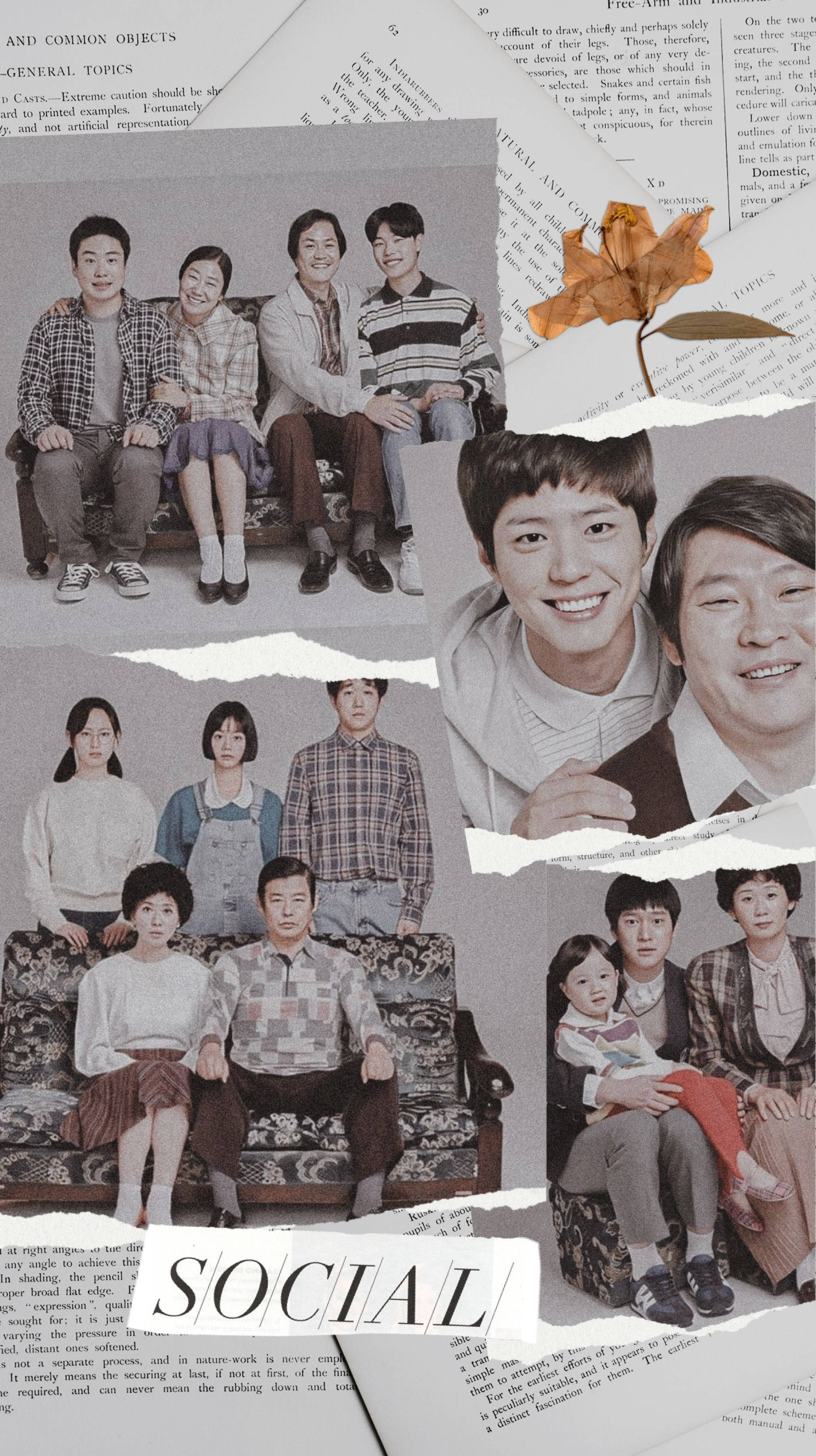Reply 1988 桌布 壁紙 — 一張以報紙為背景、附有一片秋葉的復古家庭照片拼貼畫。