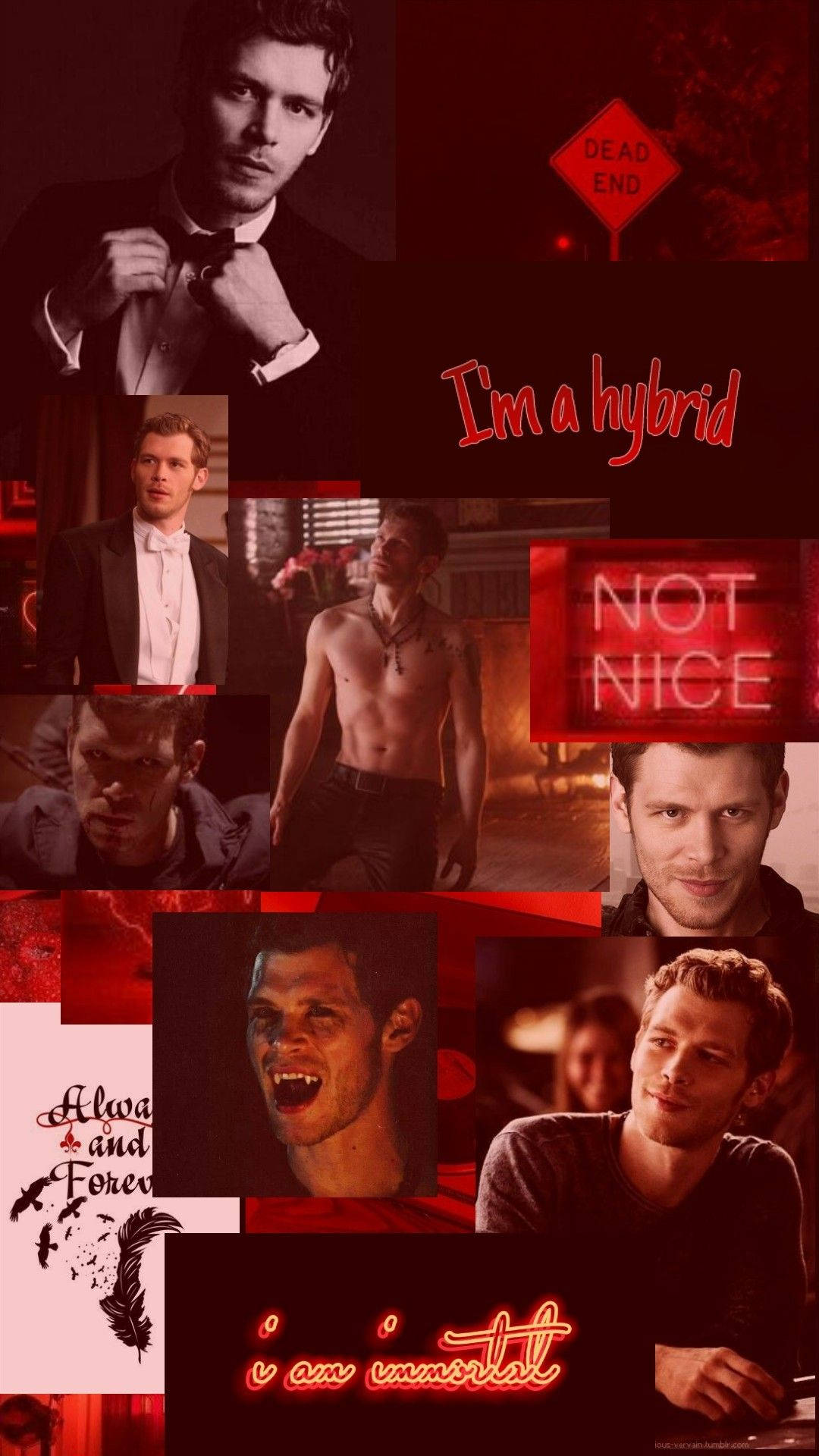 elijah mikaelson 桌布 壁紙 — 一張以紅色調為主的拼貼畫，展示一個男人以不同姿勢出現，並帶有「I'm a hybrid」和「NOT NICE」等文字疊加在深色背景上。