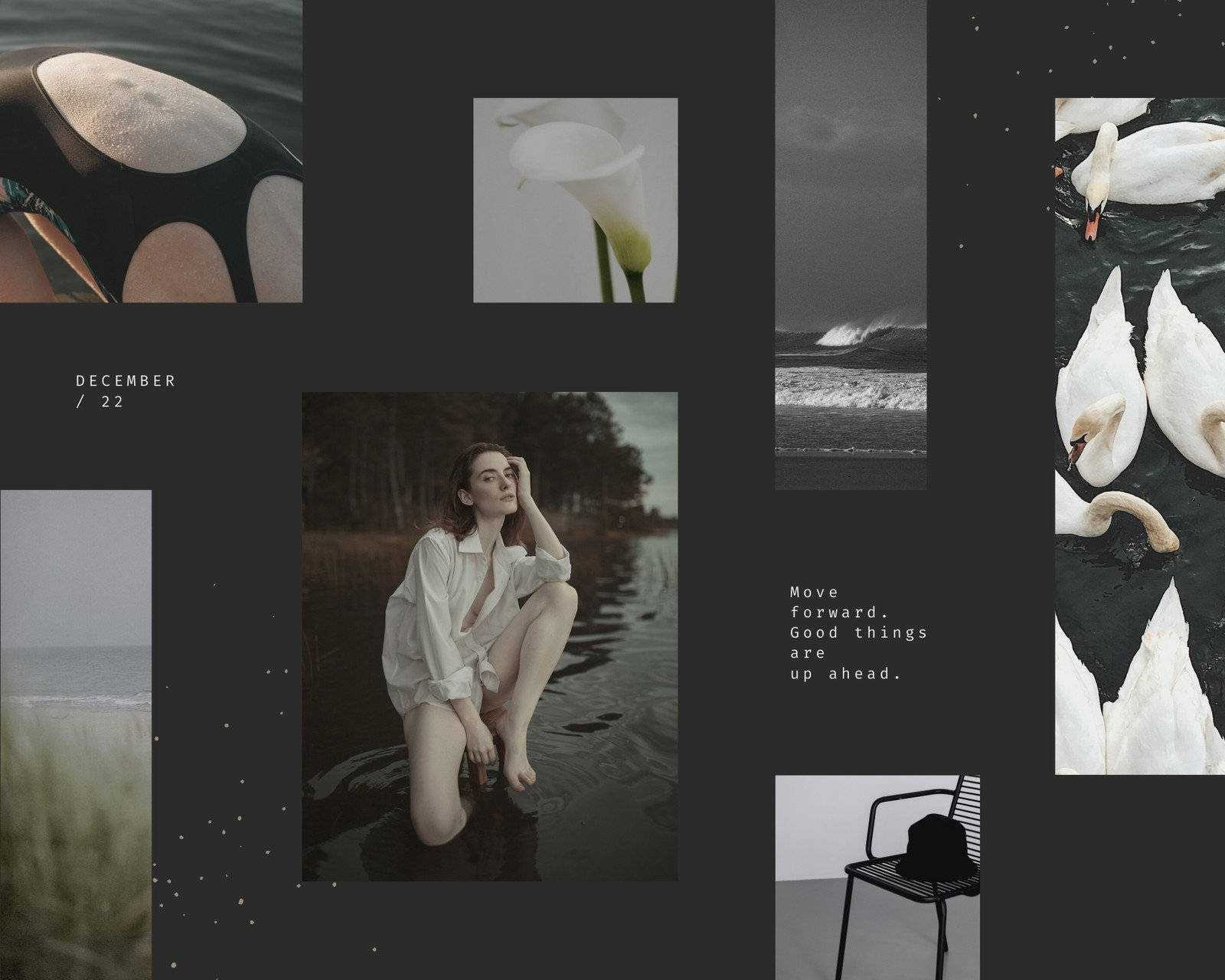 Trendy Aesthetic 桌布 壁紙 — 一張充滿氛圍的自然與靜物照片拼貼，包括天鵝、水邊的女子、馬蹄蓮以及放著帽子的椅子。