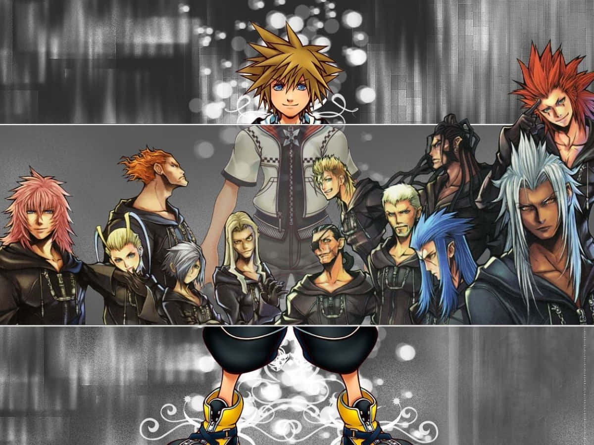 Kingdom Hearts Organization 13 桌布 壁紙 — 一張充滿活力的動漫桌布，展示一群不同角色，擁有色彩繽紛的尖刺頭髮和動態姿勢，背景是帶有發光散景效果的風格化灰色背景。