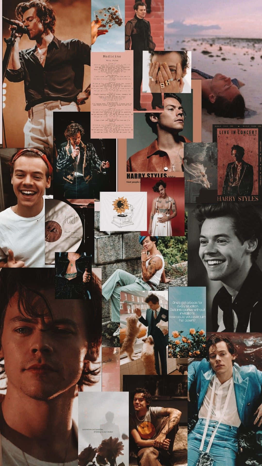 Harry Styles Collage 桌布 壁紙 — 一張充滿活力的哈利·史泰爾斯拼貼畫，展現他各種姿勢和服裝，融合了演唱會時刻、隨拍照片和藝術肖像。