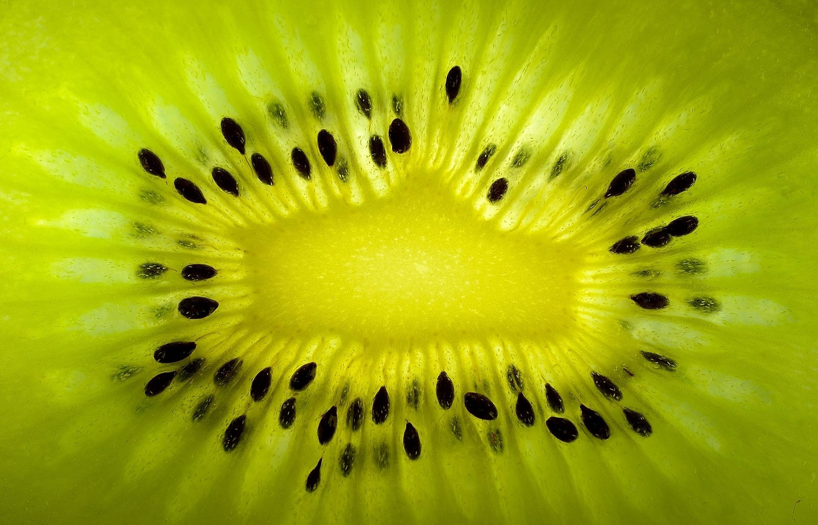 Fruit 桌布 壁紙 — 一張充滿活力的奇異果切片微距照片，展現其亮綠色果肉和從黃色中心放射出的黑色種子。