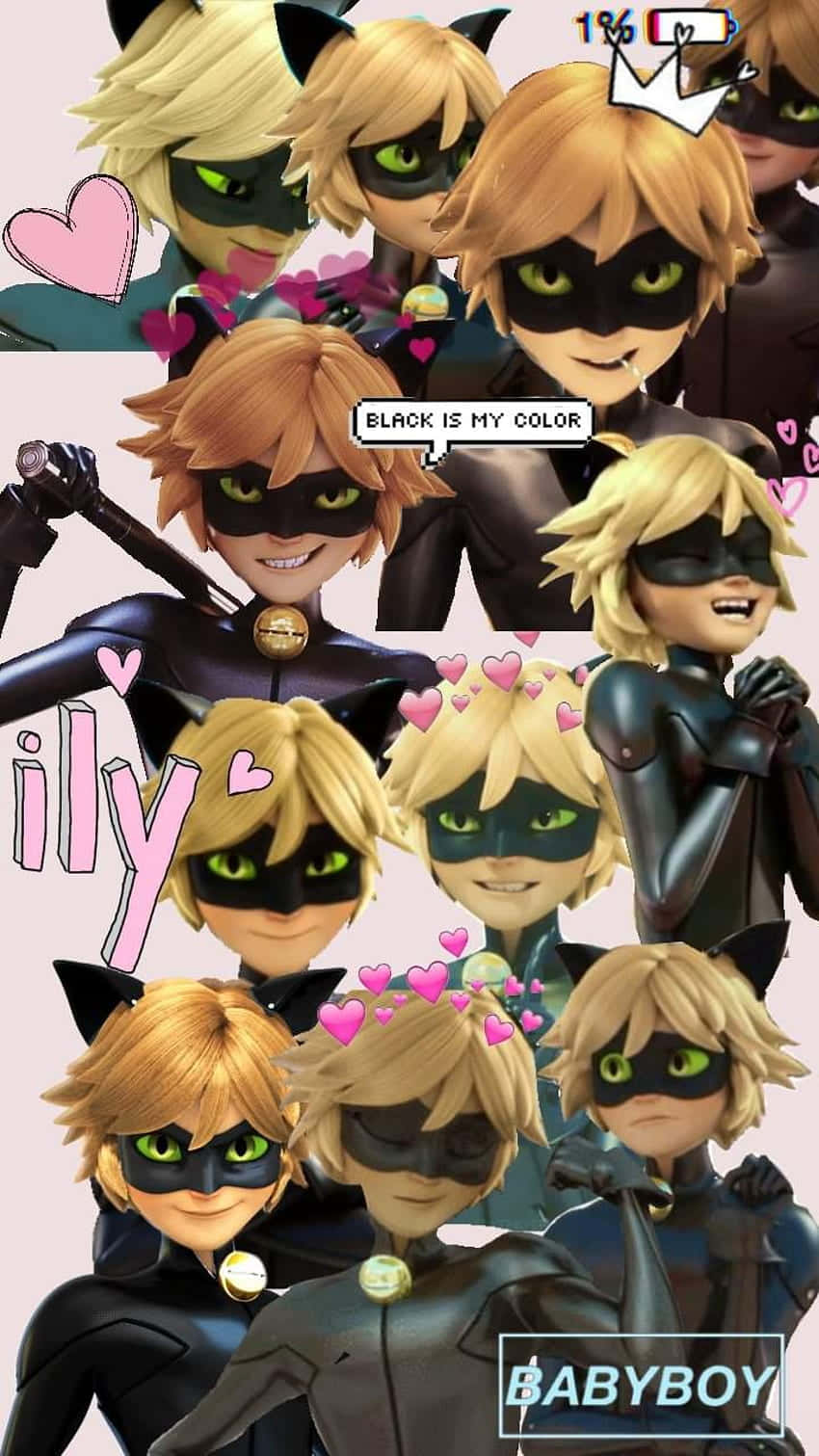 高清 桌布 壁紙 — 一張充滿活力的拼貼畫，展示動畫角色 Cat Noir 的多種姿勢，並帶有粉紅色心形和文字疊加。