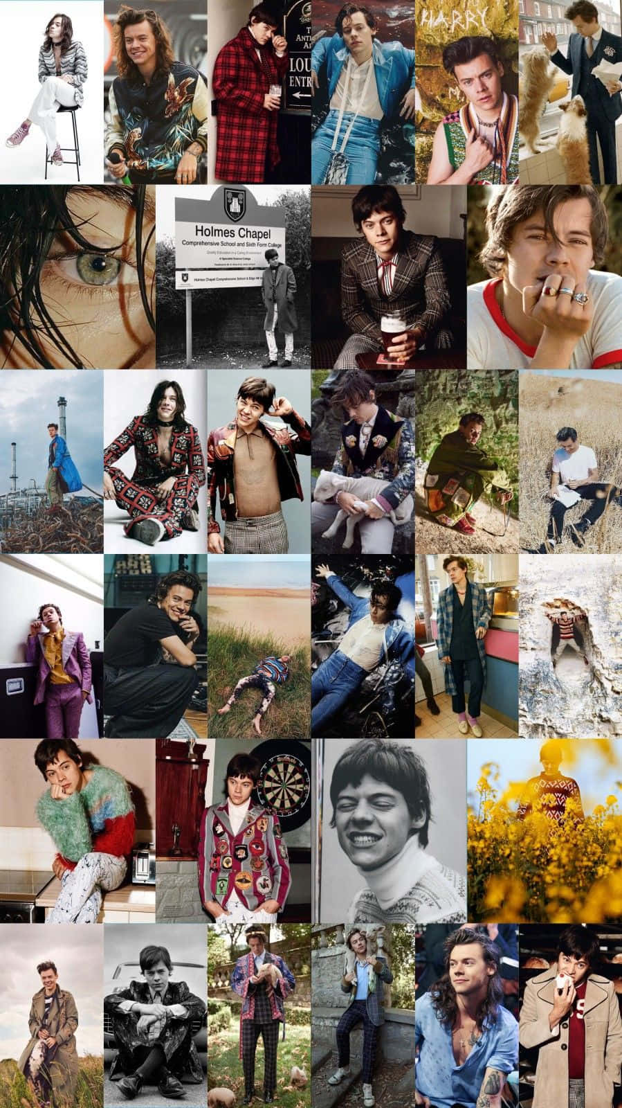Harry Styles Collage 桌布 壁紙 — 一張充滿活力的拼貼畫，展示哈利·史泰爾斯在攝影和自然瞬間中的多種服裝和場景。