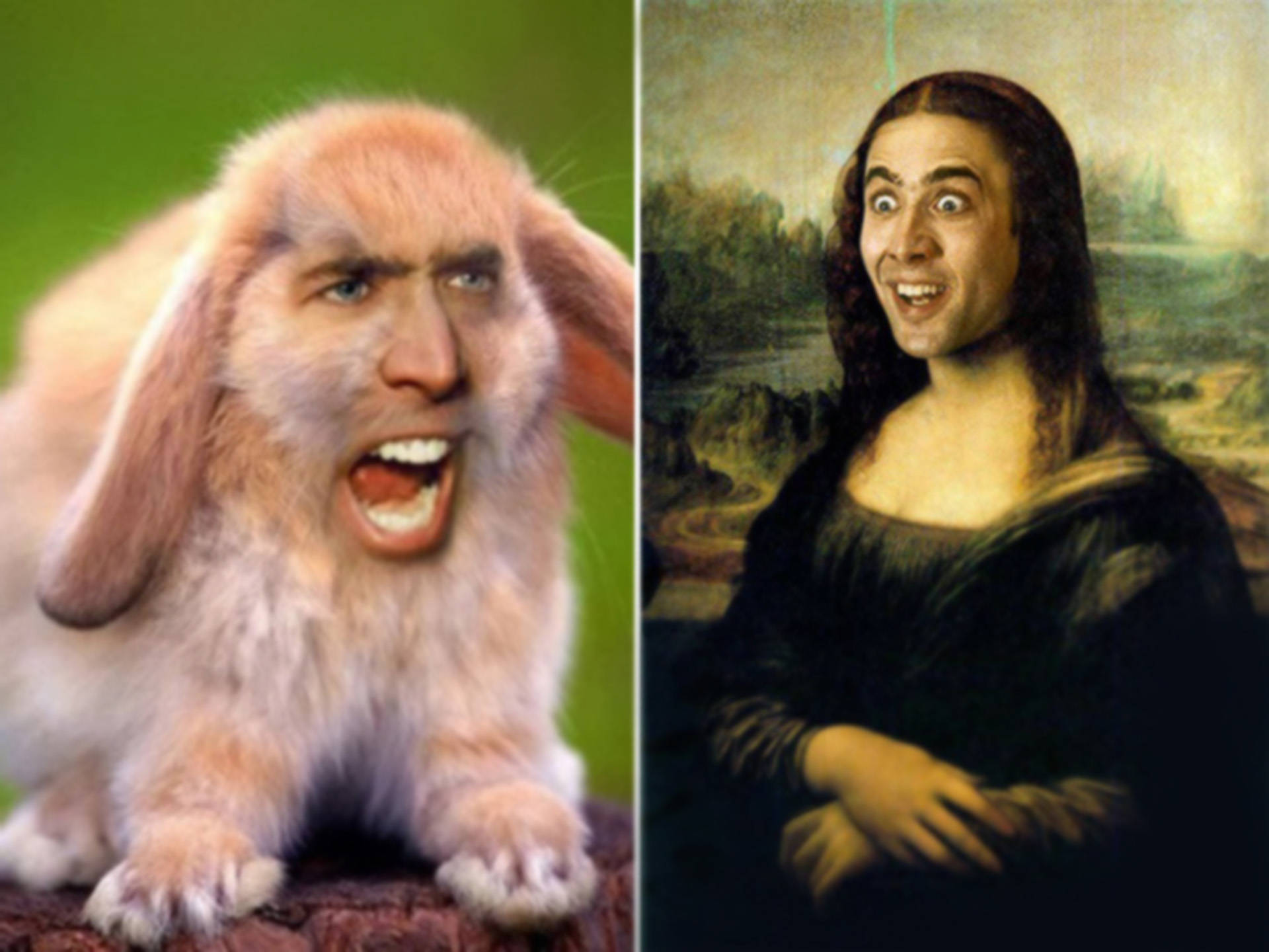 nicolas cage meme 桌布 壁紙 — 一張分割圖片顯示一隻尖叫臉的兔子旁邊有一個震驚表情的蒙娜麗莎。