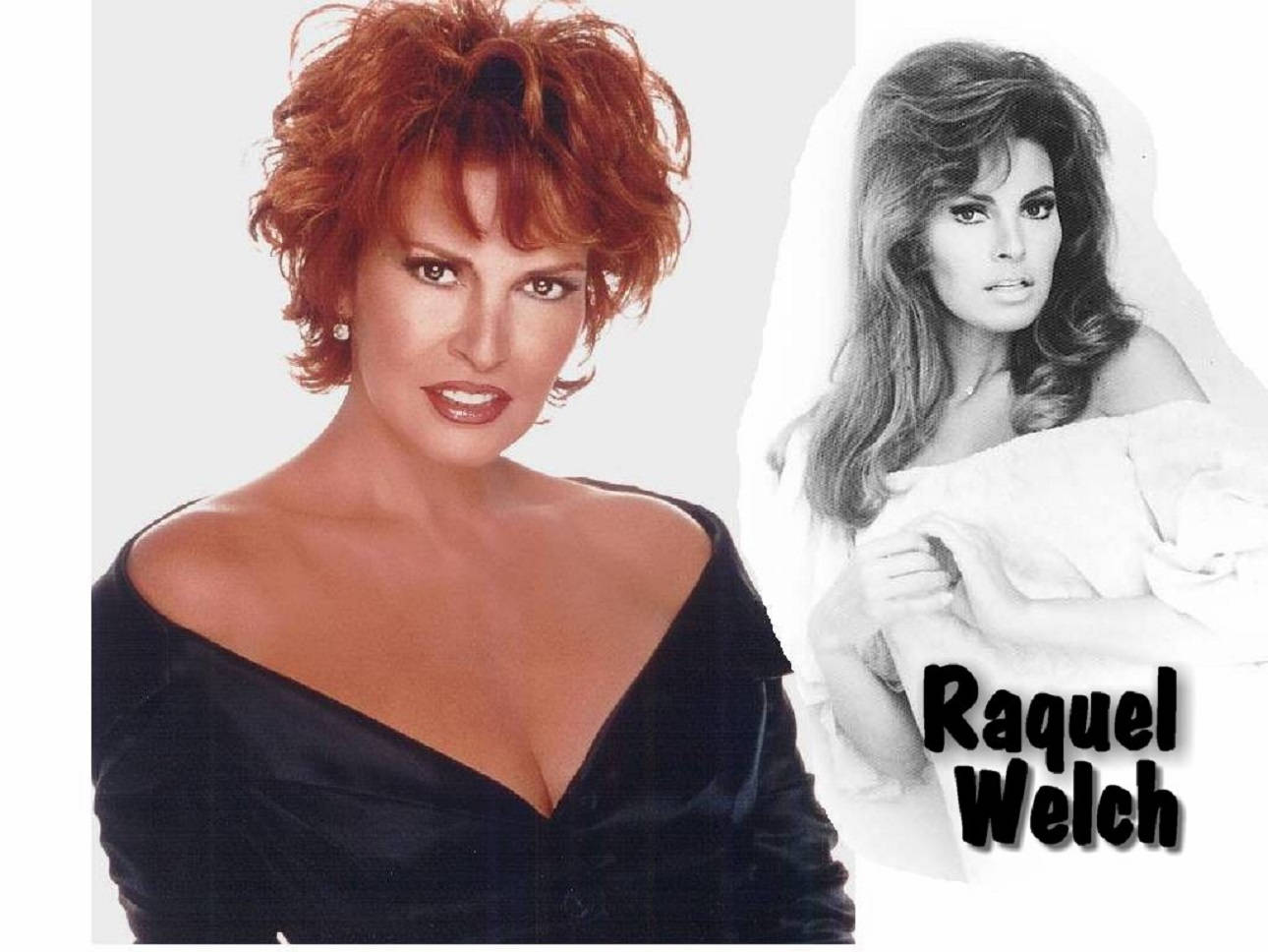 黑白 桌布 壁紙 — 一張分半的彩色肖像，顯示拉奎爾·韋爾奇（Raquel Welch）擁有火紅頭髮和黑色連衣裙，旁邊是一張她長髮白衣的黑白照片。
