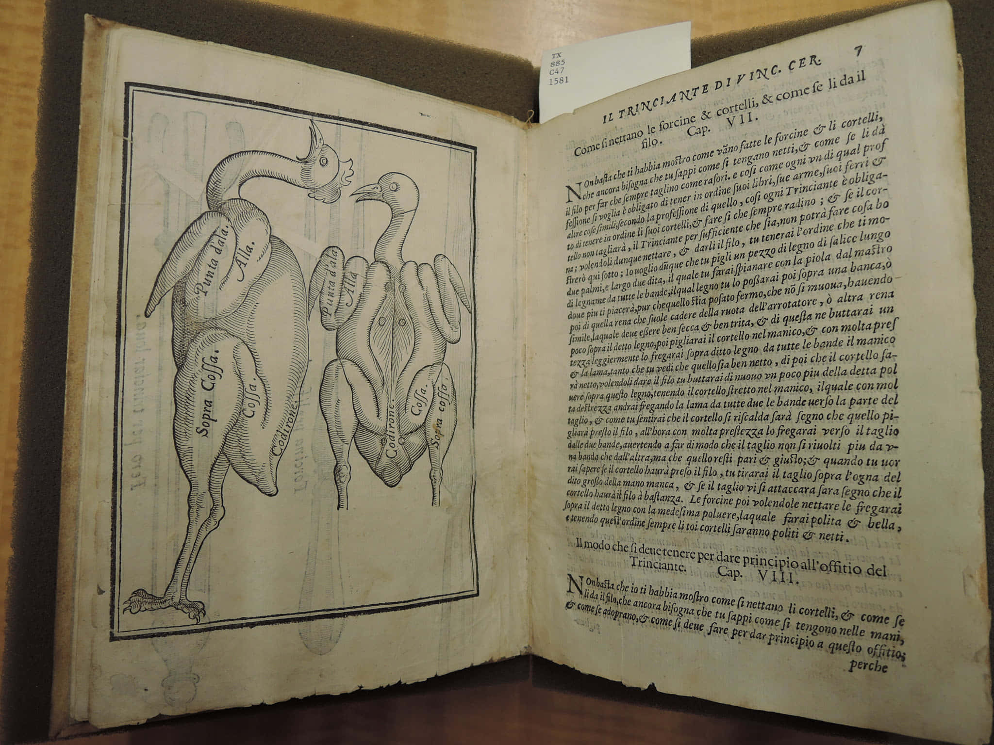 Italian 桌布 壁紙 — 一張古書頁展示了詳細的鳥類解剖插圖，並附有義大利文標籤。