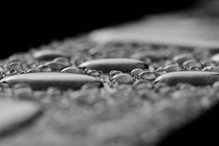 Droplets 桌布 壁紙 — 一張單色微距照片，呈現閃爍的水珠停留在紋理表面上，景深較淺。