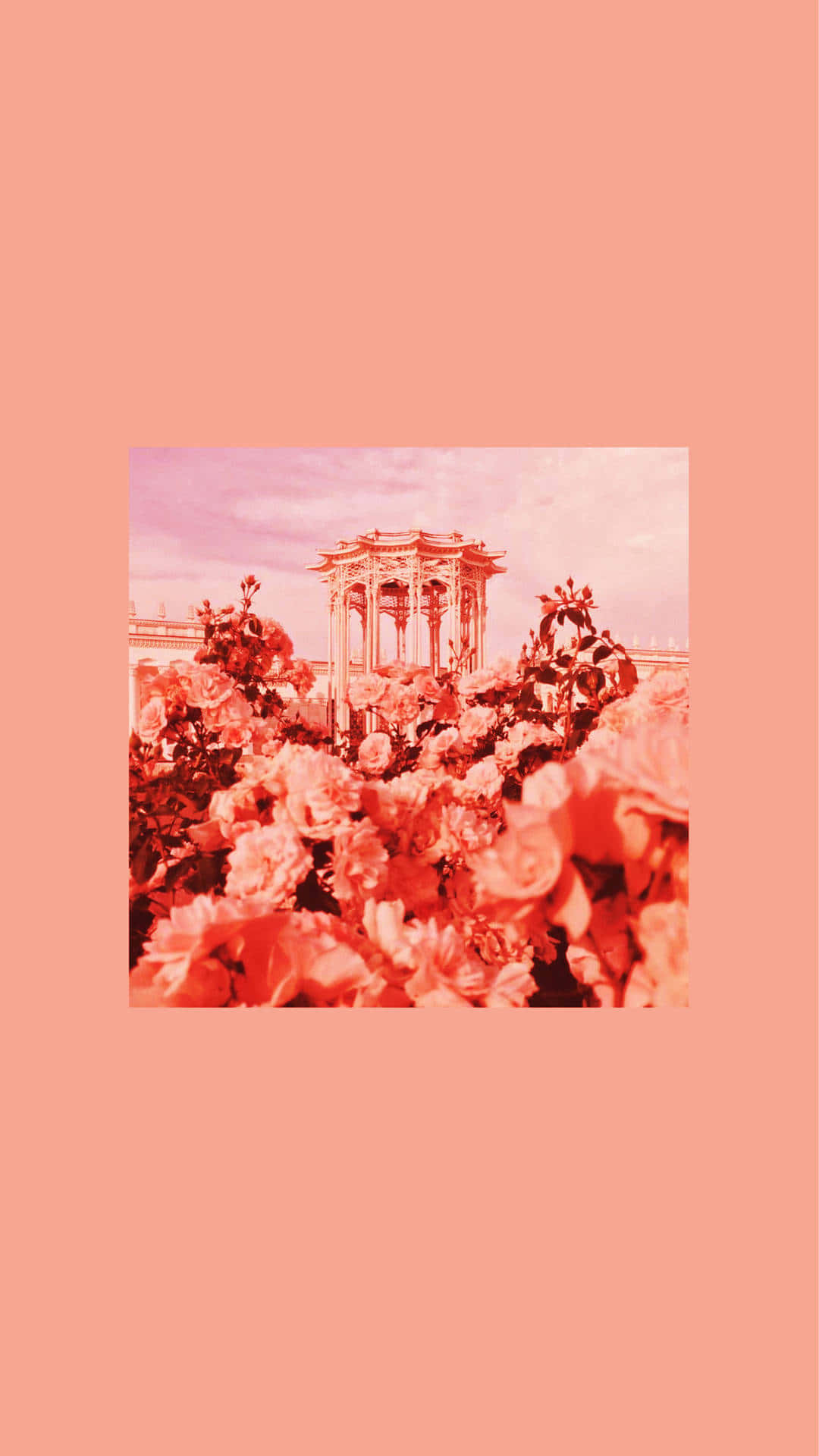 Pastel Red Aesthetic 桌布 壁紙 — 一張夢幻粉紅色調的照片，涼亭被盛開的玫瑰環繞，襯托著柔和天空。