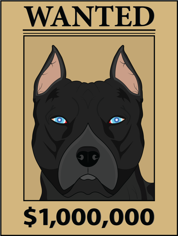 比特犬 桌布 壁紙 — 一張大膽的插圖通緝海報展示了一隻黑狗，有著銳利的藍眼睛和1,000,000美元的懸賞。