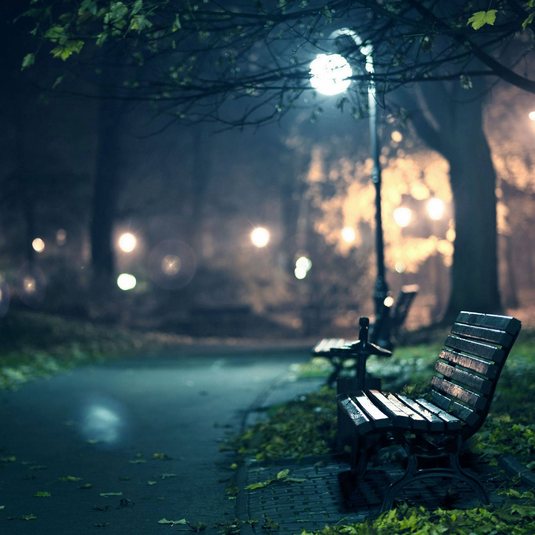 Dim 桌布 壁紙 — 一張孤獨的公園長椅在霧氣瀰漫的秋夜中，坐在發光的路燈下，周圍是落葉和光禿的樹枝。