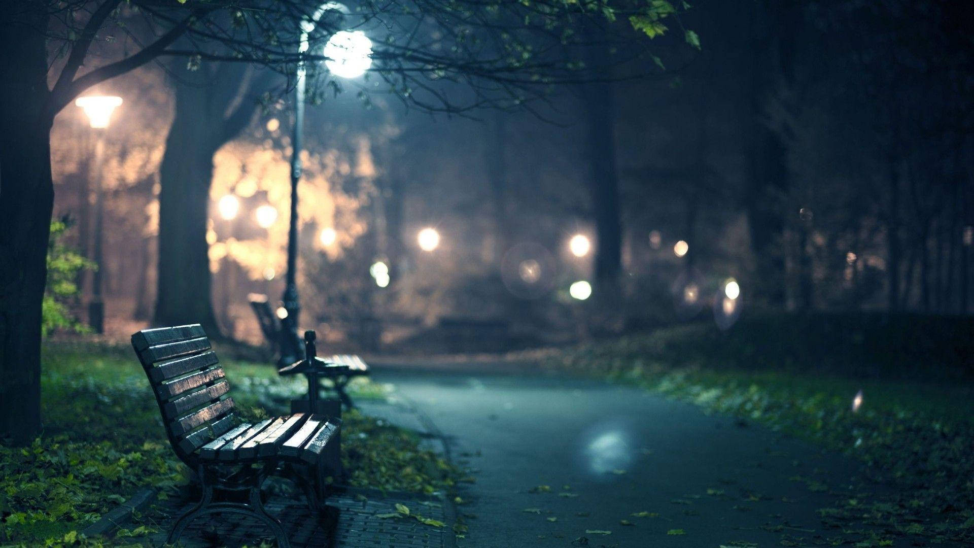 quiet 桌布 壁紙 — 一張孤獨的木凳在夜晚坐落在霧濛濛的公園小徑旁，透過光禿禿的樹木被柔和發光的路燈照亮。