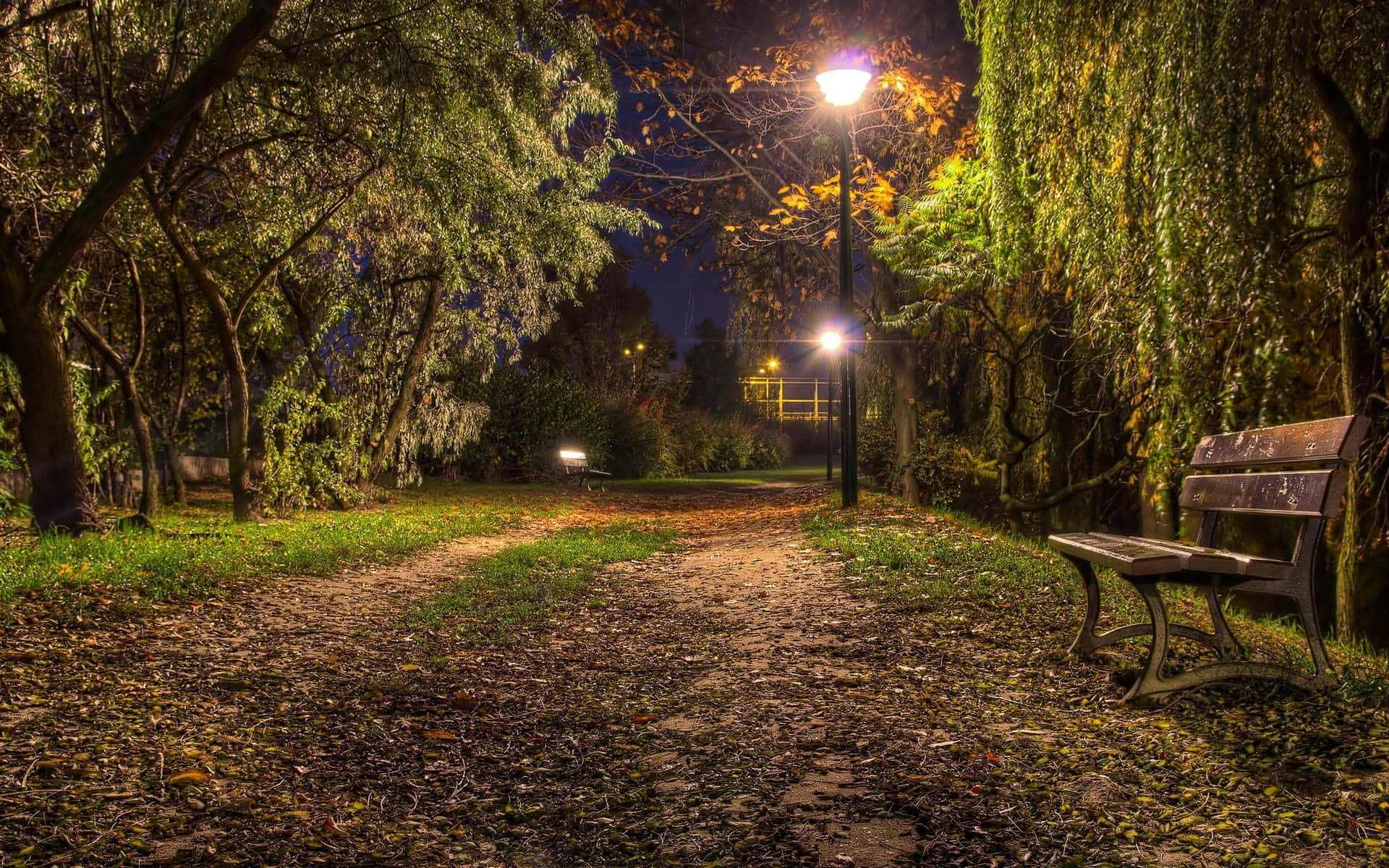 夜晚 桌布 壁紙 — 一張孤獨的木凳在寧靜的秋夜公園裡，位於落葉覆蓋的小徑上，閃爍的街燈下。