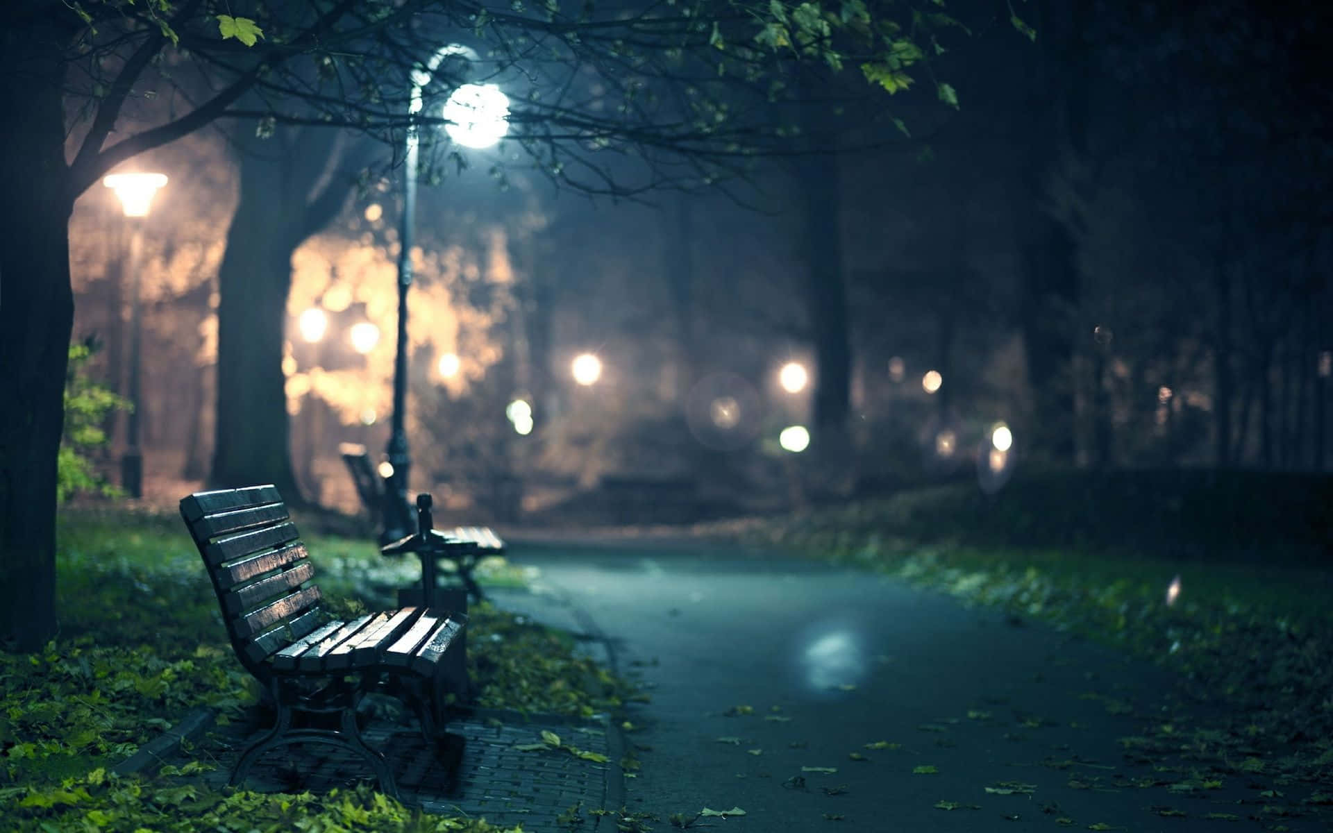 Lamp 桌布 壁紙 — 一張孤獨的木凳在霧氣瀰漫的秋夜公園中，位於發光街燈下，周圍有落葉。