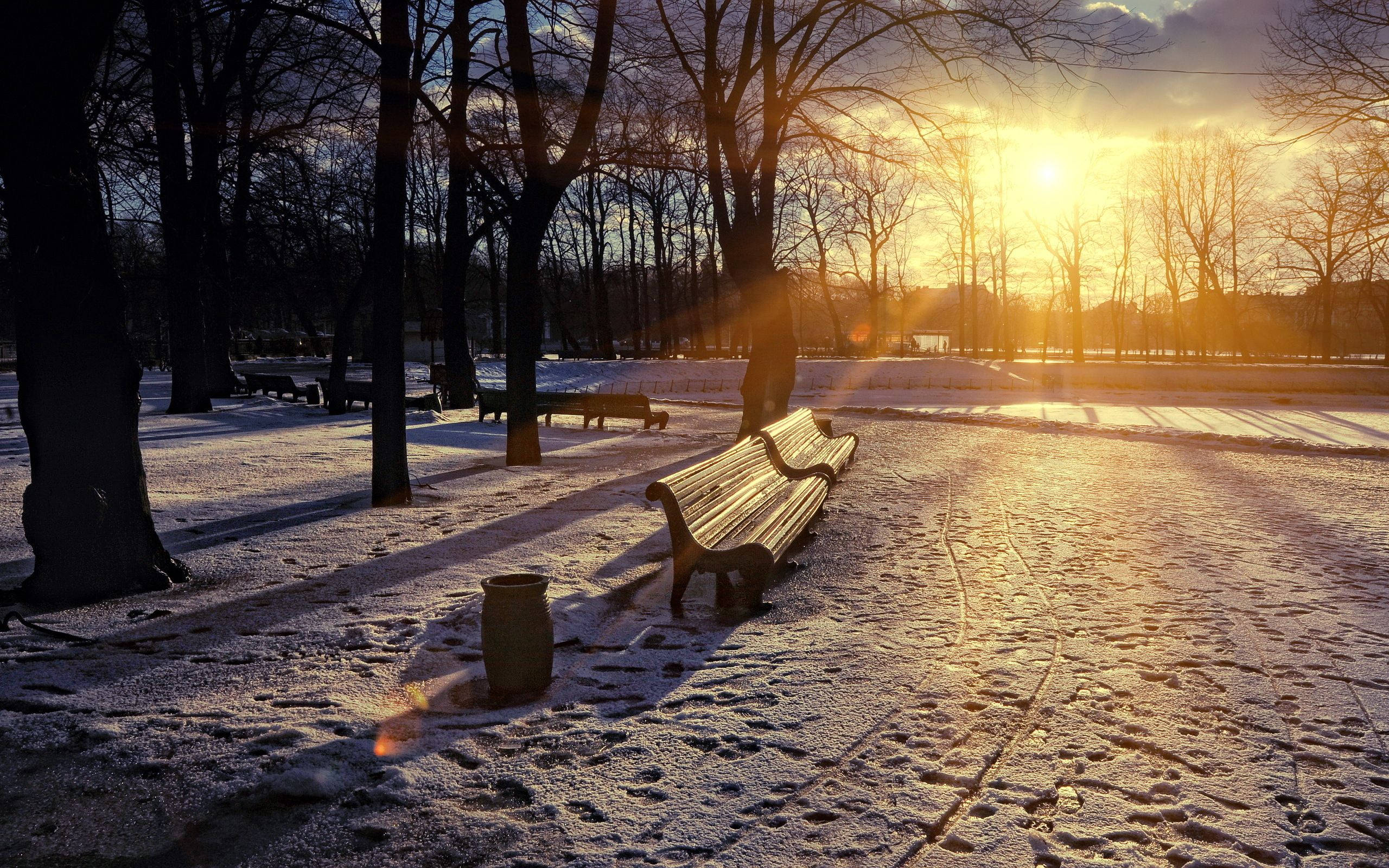 Bench 桌布 壁紙 — 一張孤獨的木凳放在白雪覆蓋的公園中，金色的夕陽穿過光禿禿的樹木，投下長長的影子。