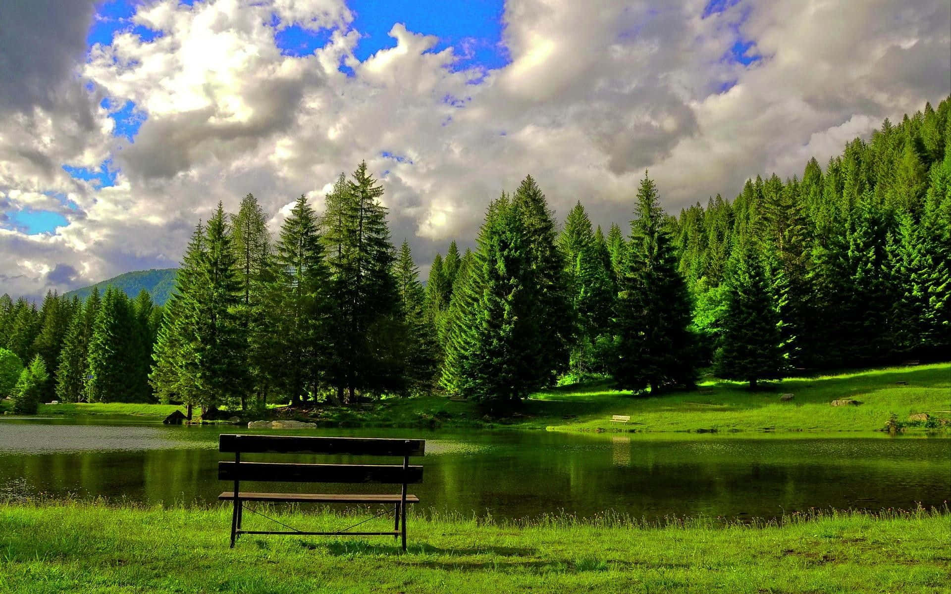 Relaxing Desktop 桌布 壁紙 — 一張孤獨的木製長椅面向一個平靜的湖泊，周圍是茂密的綠色松樹，天空戲劇性地多雲。