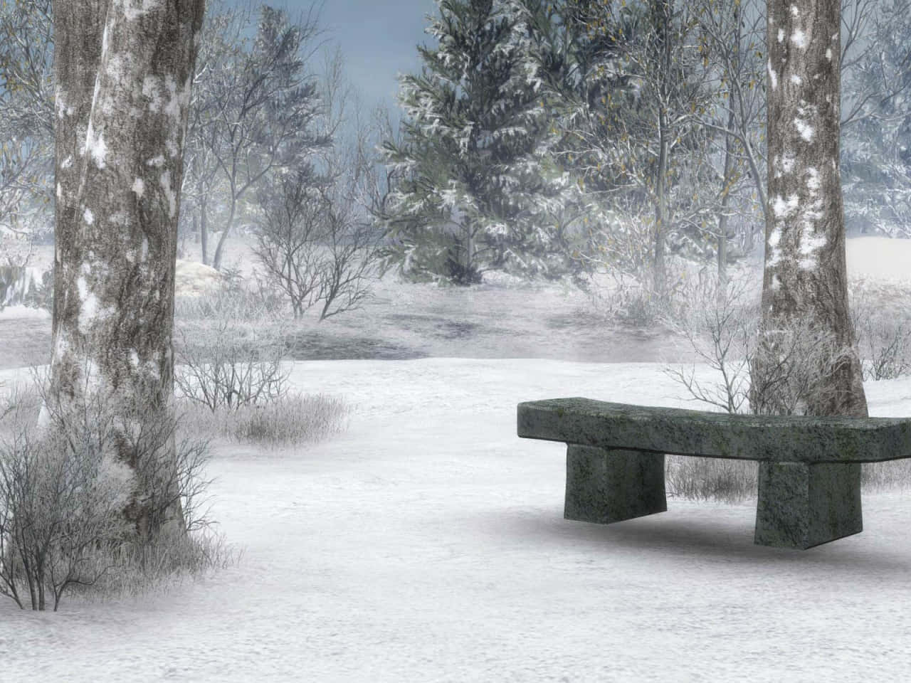 images 桌布 壁紙 — 一張孤獨的石凳位於白雪覆蓋的森林空地中，周圍是灑滿白雪的樹木，在蒼白的冬日天空下。