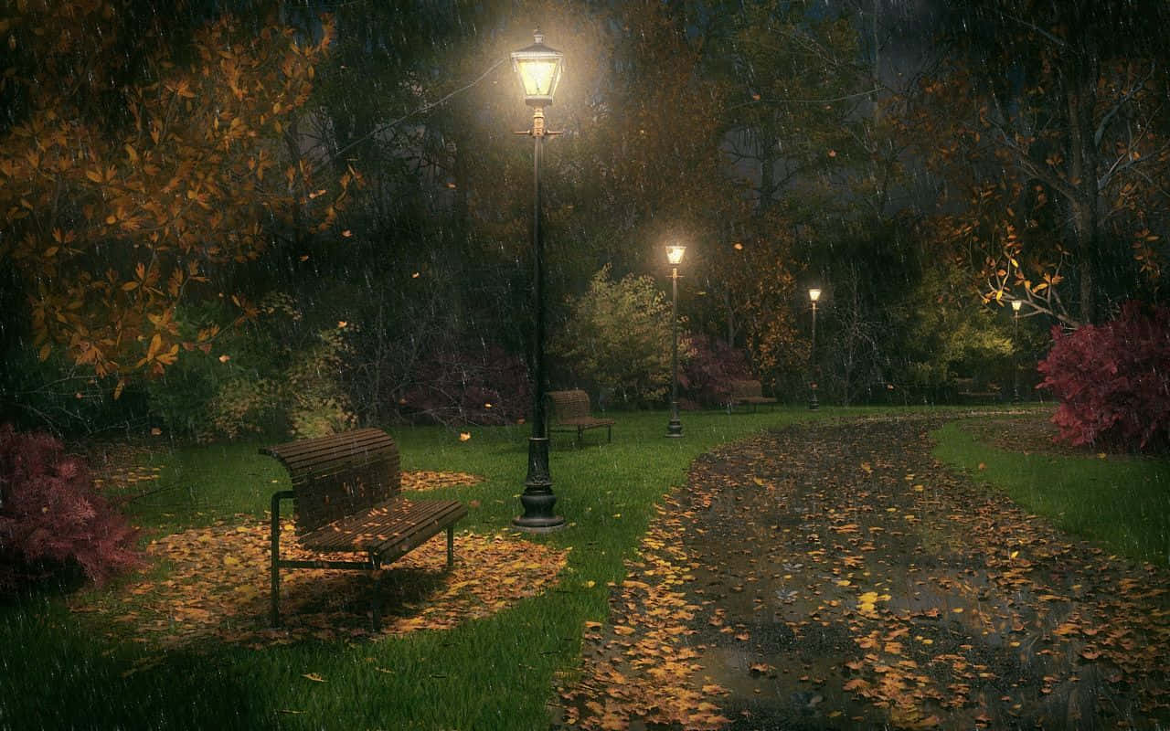 Rainy 桌布 壁紙 — 一張孤獨的長椅坐在發光路燈下，在迷霧的秋日公園中，金色樹葉覆蓋著潮濕的小徑。