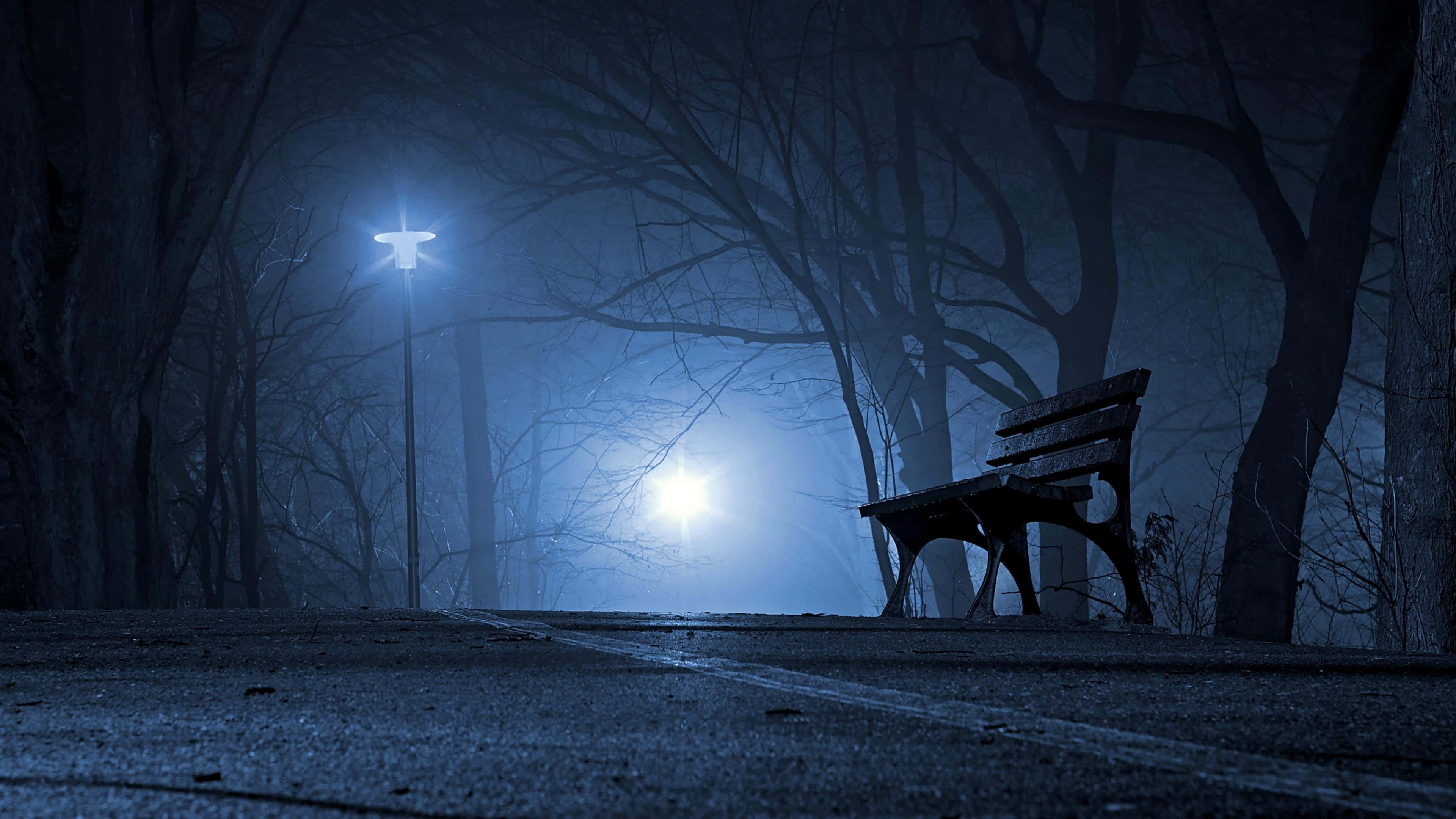 Dark Road 桌布 壁紙 — 一張孤獨的長椅坐落在夜間霧氣瀰漫的公園中，被一盞發光的街燈照亮，透過光禿的樹木投射出詭異的藍光。