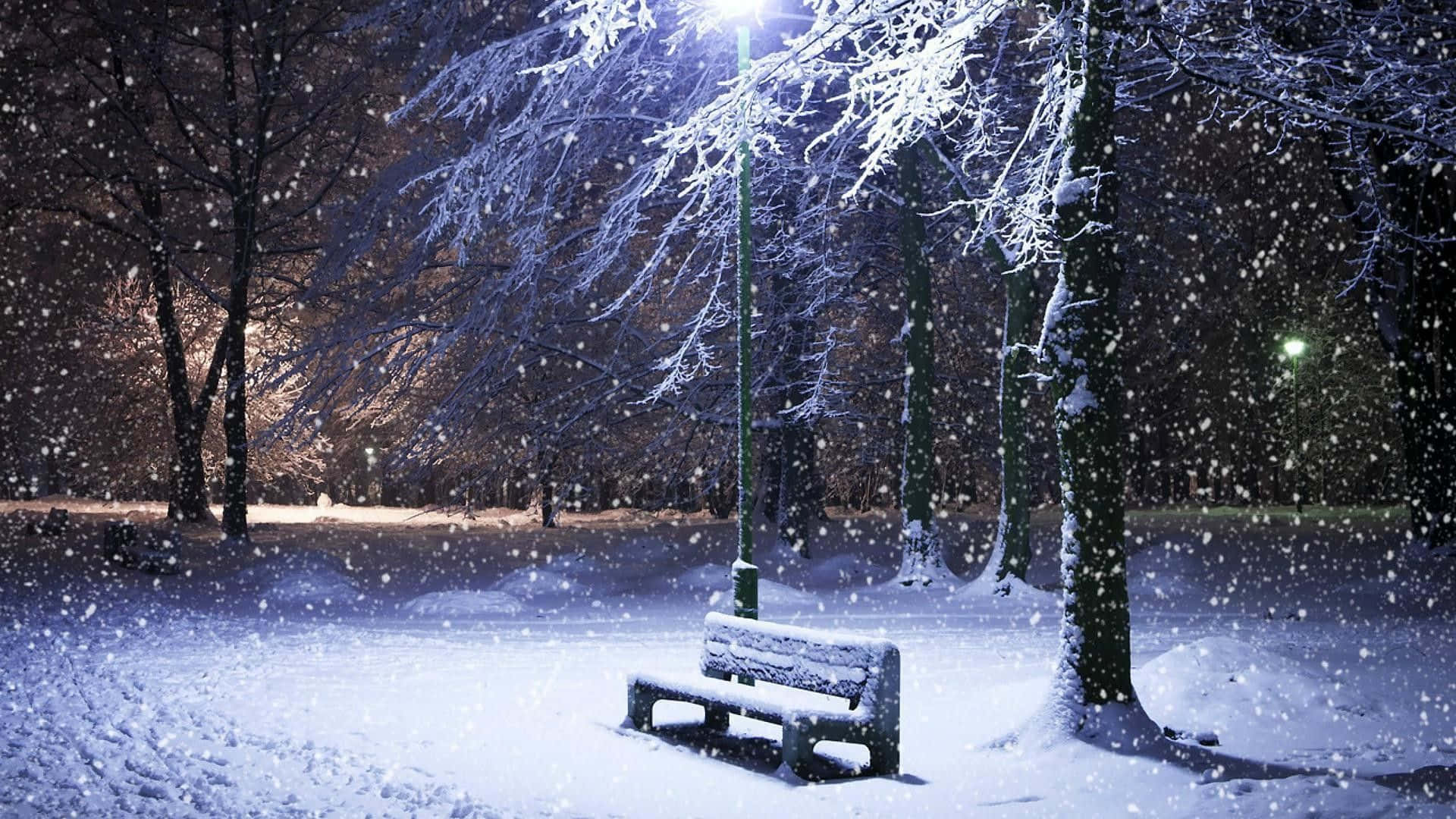 1080p Winter 桌布 壁紙 — 一張孤獨的雪覆蓋長椅在街燈下發光，雪花輕輕穿過結霜的樹枝，在寧靜的冬季公園夜間飄落。