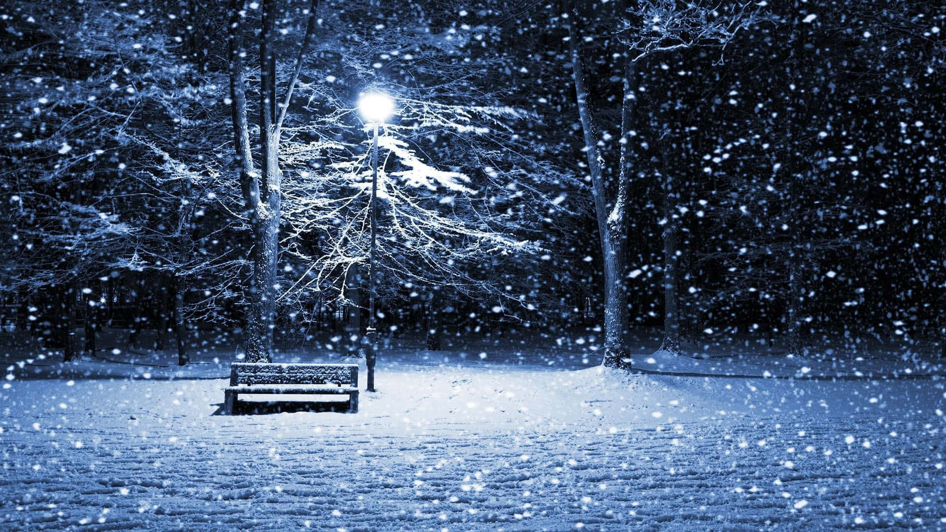 Snowing 桌布 壁紙 — 一張孤獨的雪覆長凳在街燈下發光，夜晚雪花在寧靜的冬季公園中紛飛。