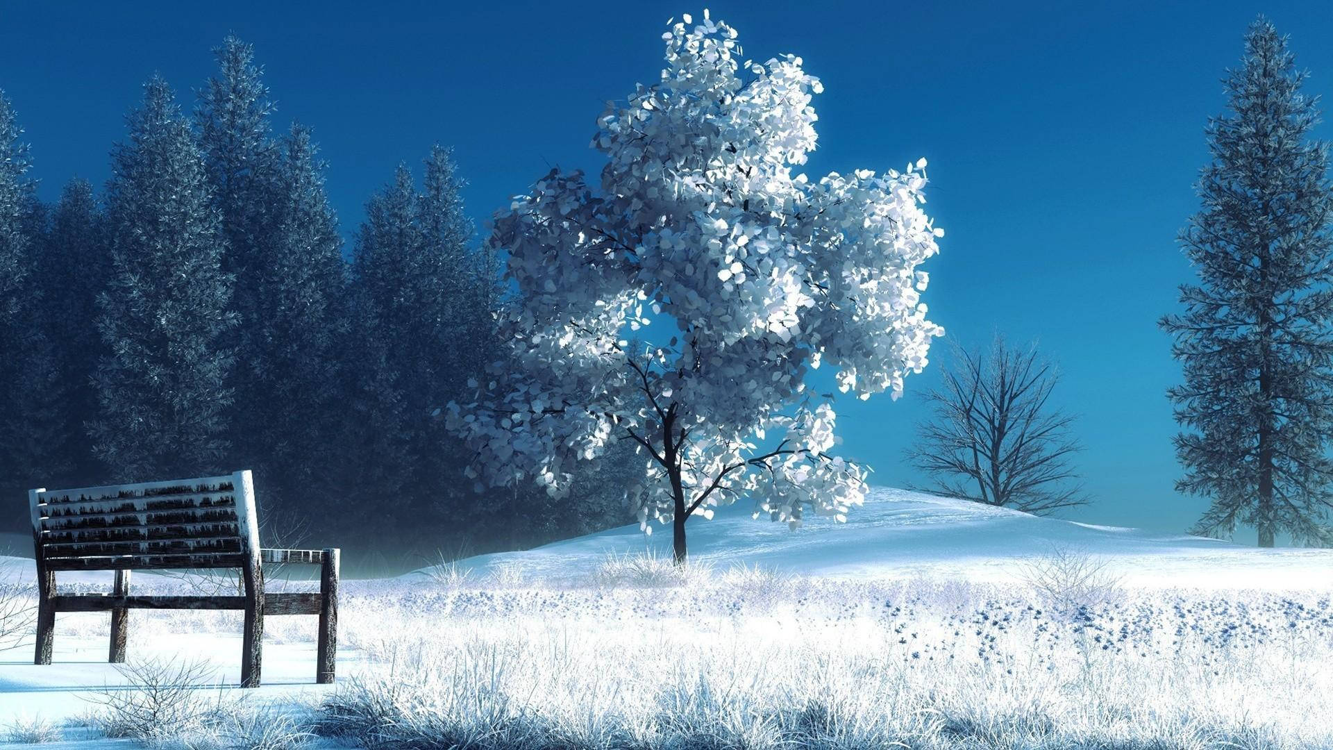 1080p HD 桌布 壁紙 — 一張孤獨的雪覆長椅面向結霜的樹木，在清澈湛藍的冬日天空下。