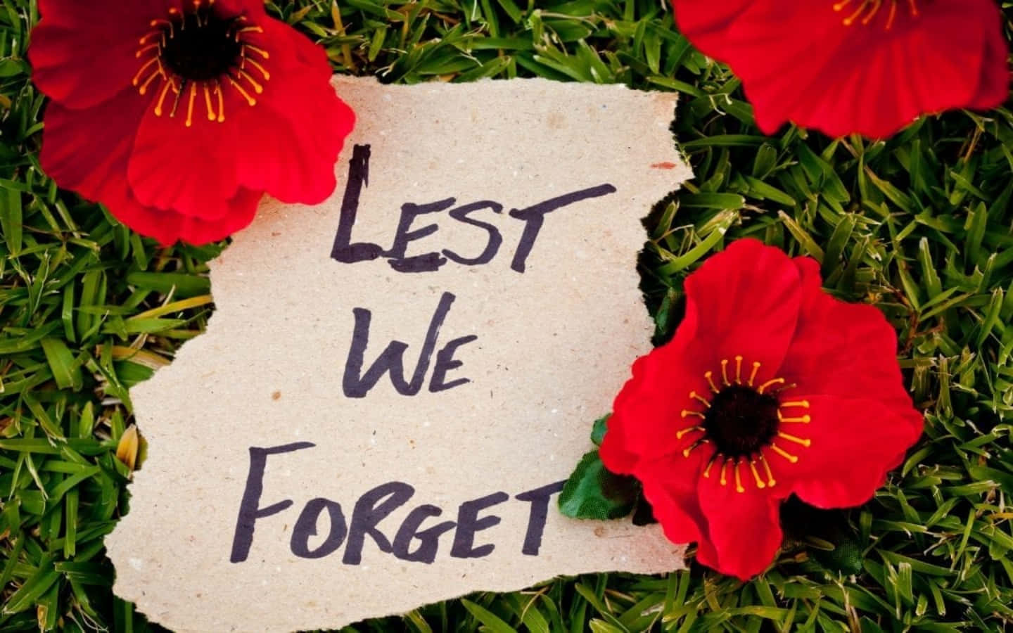 國殤紀念日 桌布 壁紙 — 一張寫有「LEST WE FORGET」的破爛紙張躺在綠草上，周圍環繞著鮮紅的罌粟花。