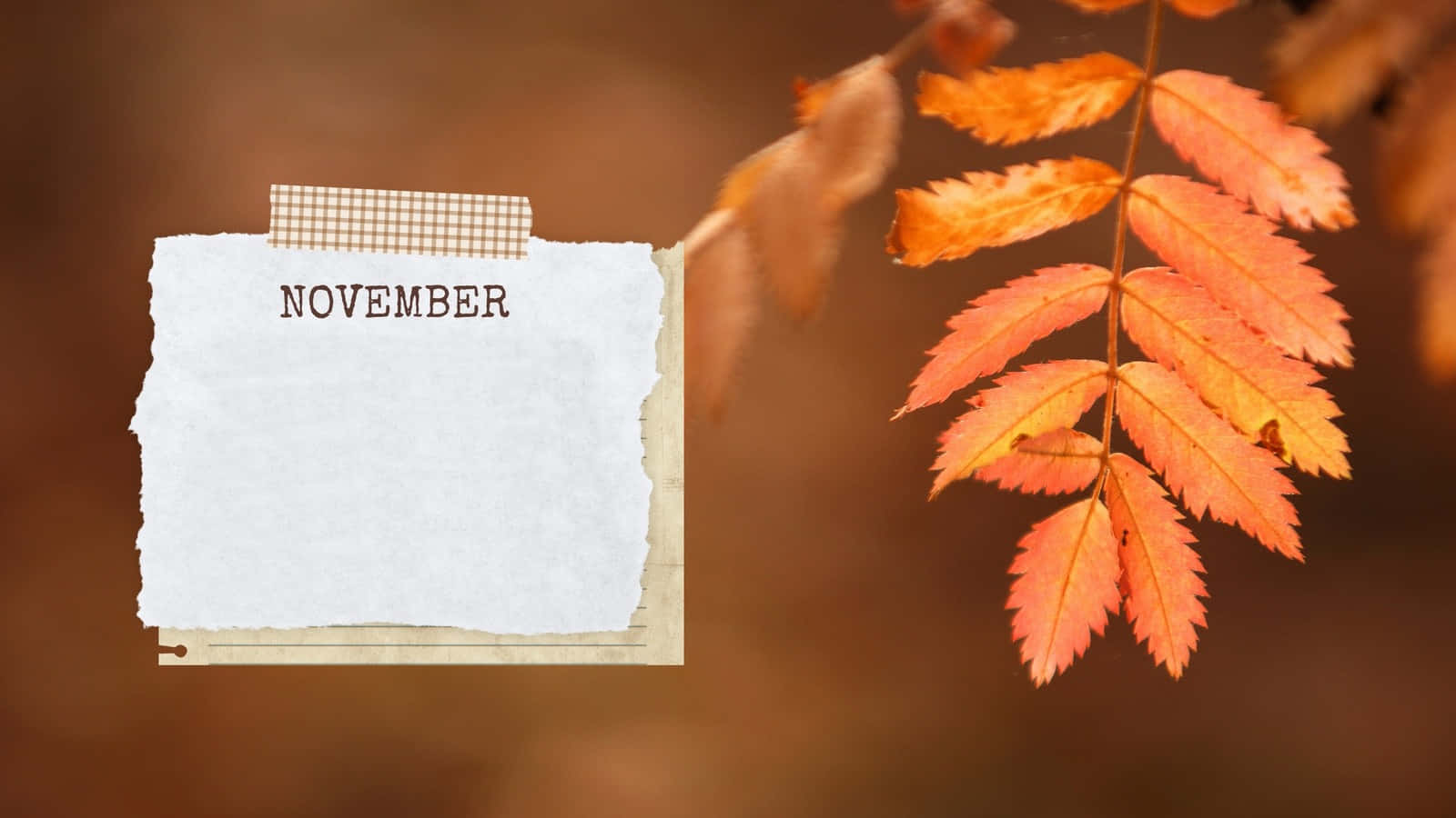 Aesthetic November 桌布 壁紙 — 一張寫有十一月的破爛紙條用膠帶貼在木質表面上，旁邊是鮮豔的橙色秋葉。