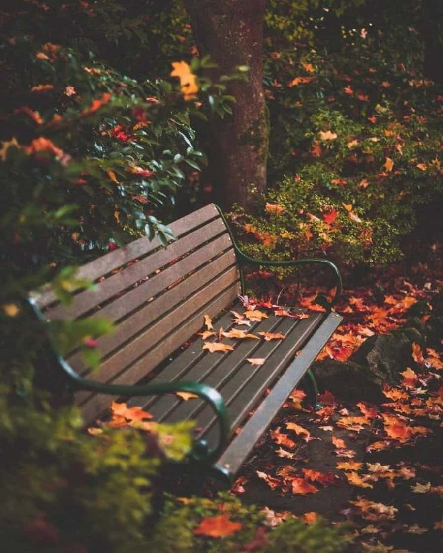 Bench 桌布 壁紙 — 一張帶有綠色金屬扶手的木製長椅靜靜地放在森林中，周圍是溫暖橙色和紅色調的秋天落葉。