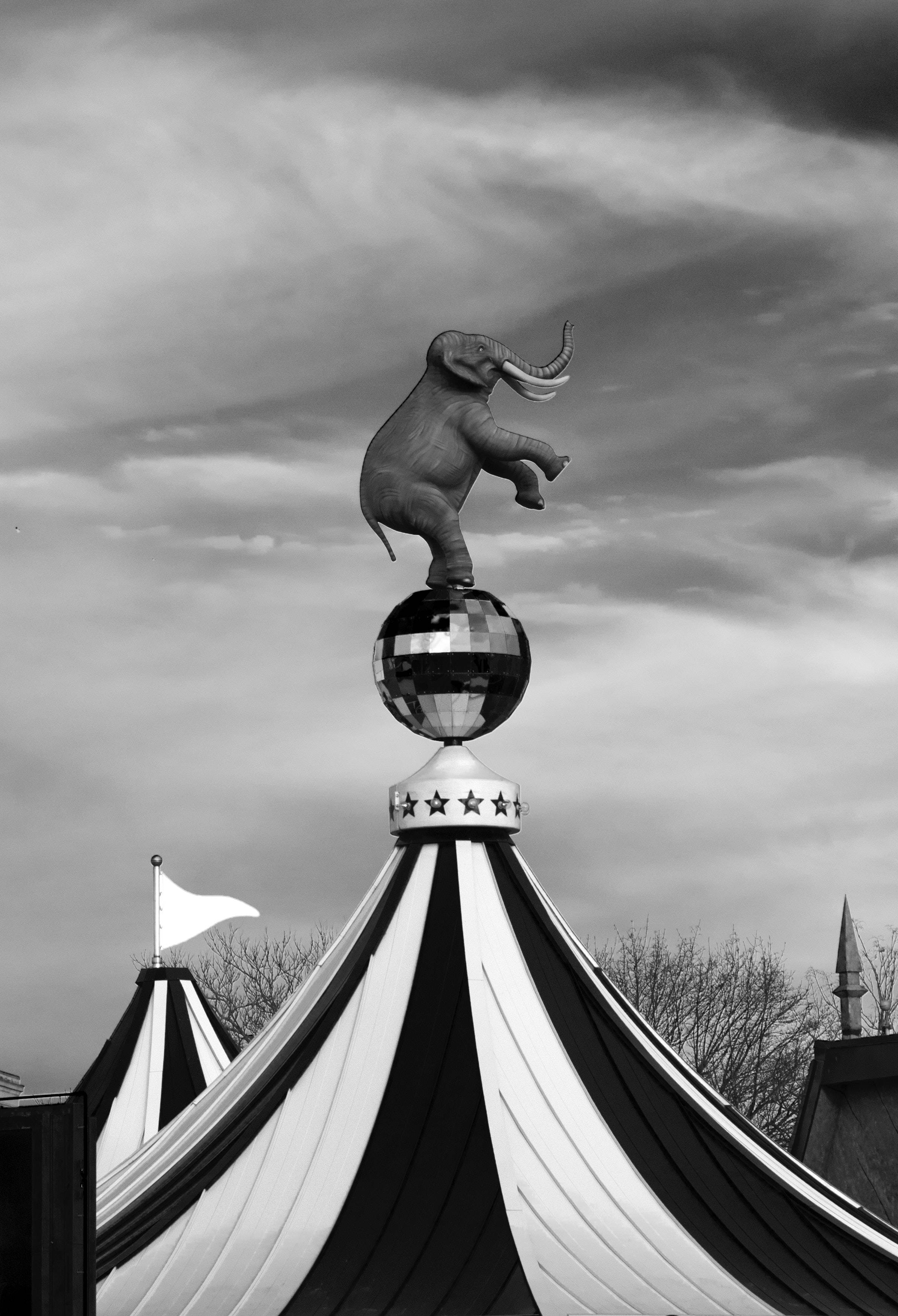 Elephant iPhone 桌布 壁紙 — 一張引人注目的黑白照片，展示了一頭大象雕像在戲劇性的雲層下，平衡在馬戲團帳篷頂端的迪斯科球上。