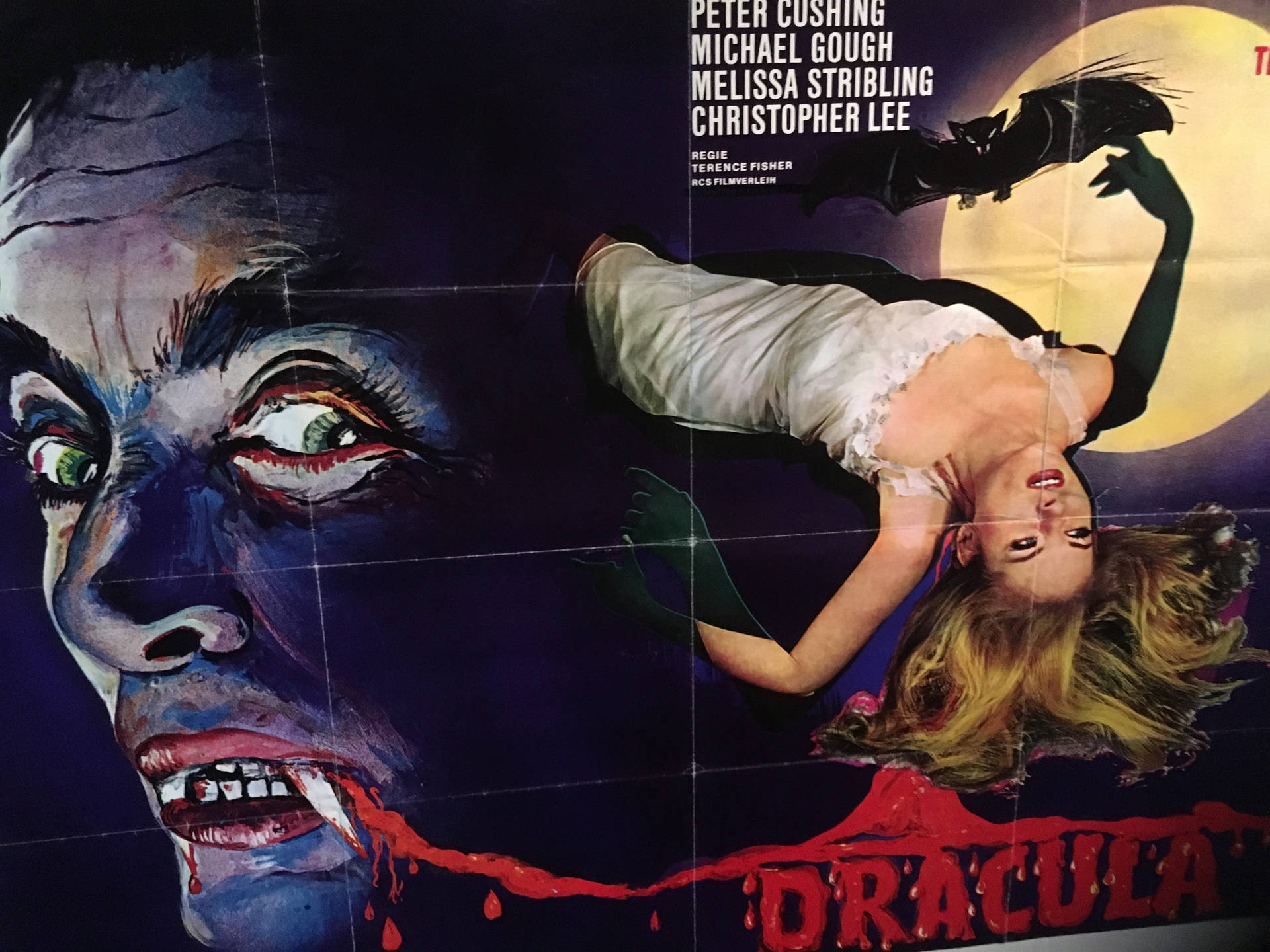 dracula 桌布 壁紙 — 一張復古恐怖電影海報顯示一個綠眼獠牙的吸血鬼籠罩著一位白衣女子，蝙蝠在滿月附近飛翔。