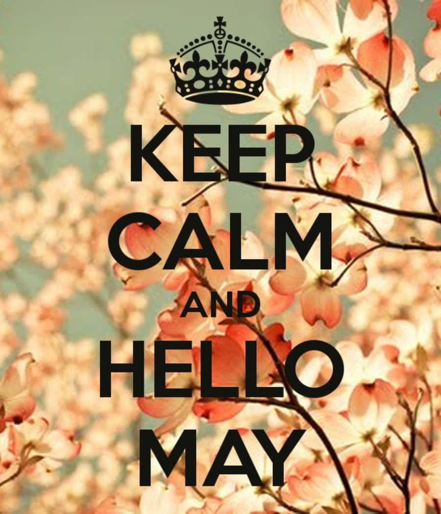 May 桌布 壁紙 — 一張復古風格海報，皇冠下方有粗體黑色文字「KEEP CALM AND HELLO MAY」，背景是柔焦的粉紅色花枝。