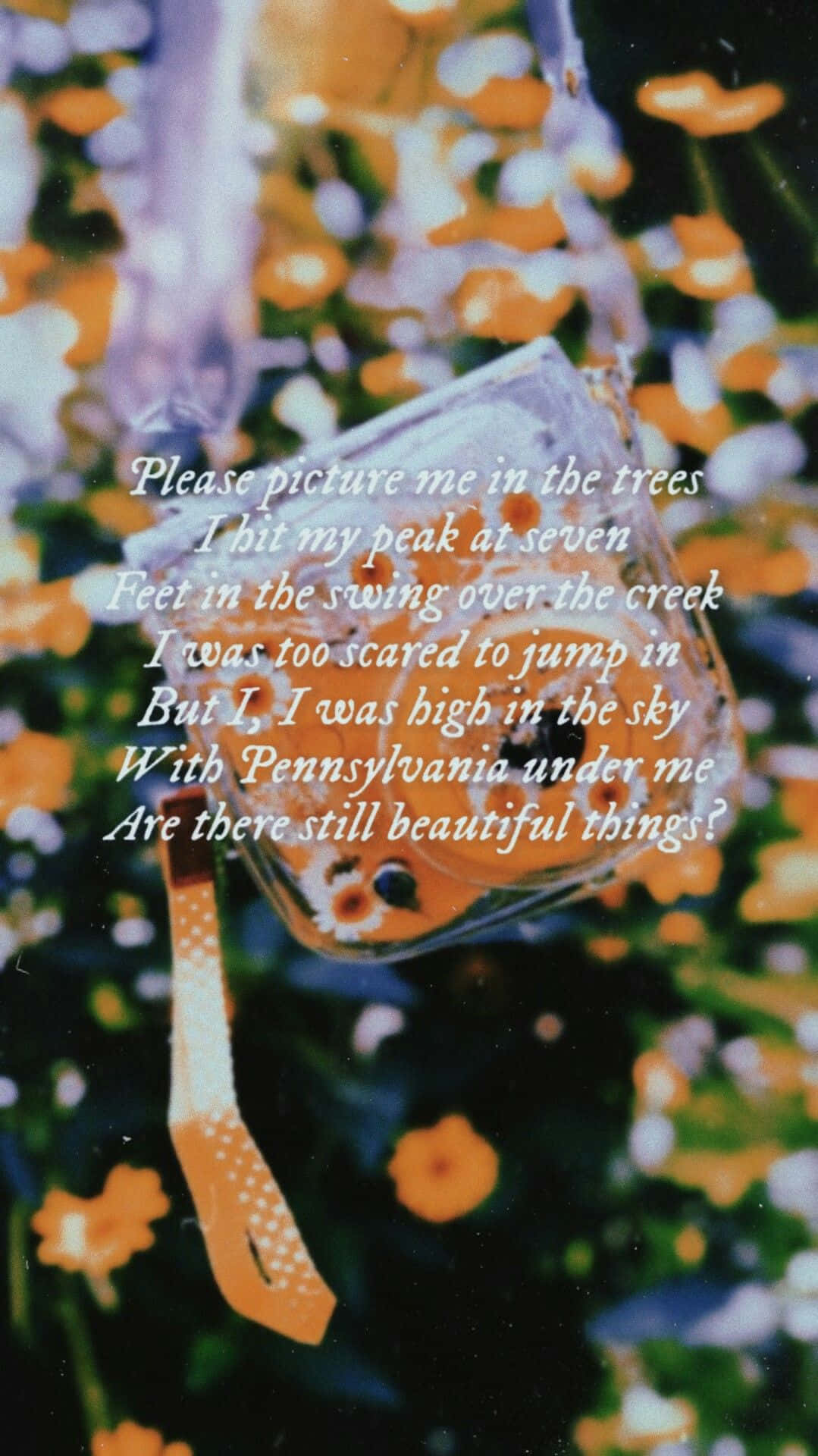 Taylor Swift Lyrics 桌布 壁紙 — 一張復古風格的照片，顯示一個兒童鞦韆懸掛在橙色和白色花朵的田野上方，並疊加了詩意的文字。