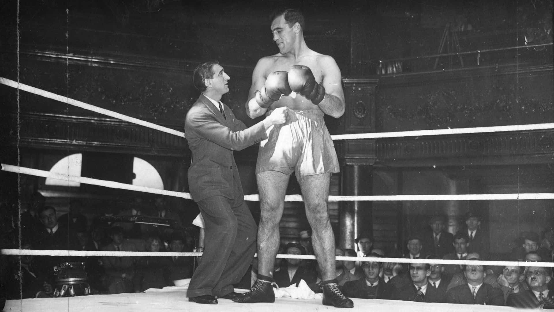 Boxing 桌布 壁紙 — 一張復古黑白照片顯示一位高大的拳擊手在擂台上，在人群面前被裁判測量。